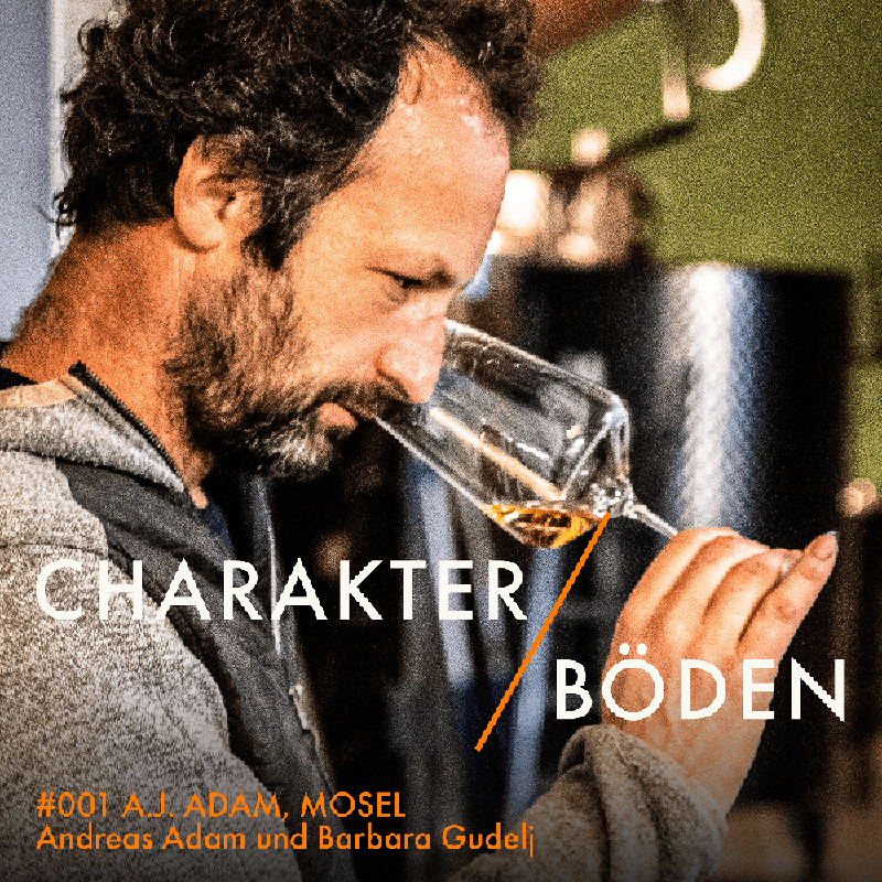 Charakter / Böden - Was großen Wein ausmacht