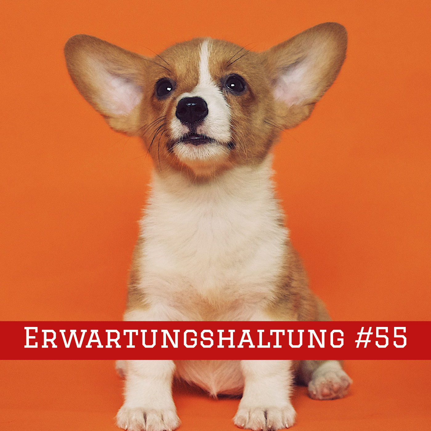 Der literarische Saloon