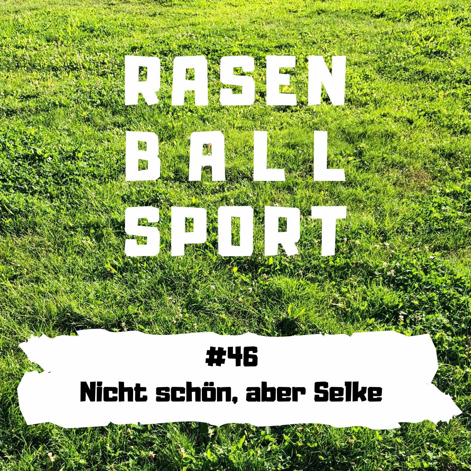 RASENBALLSPOTT