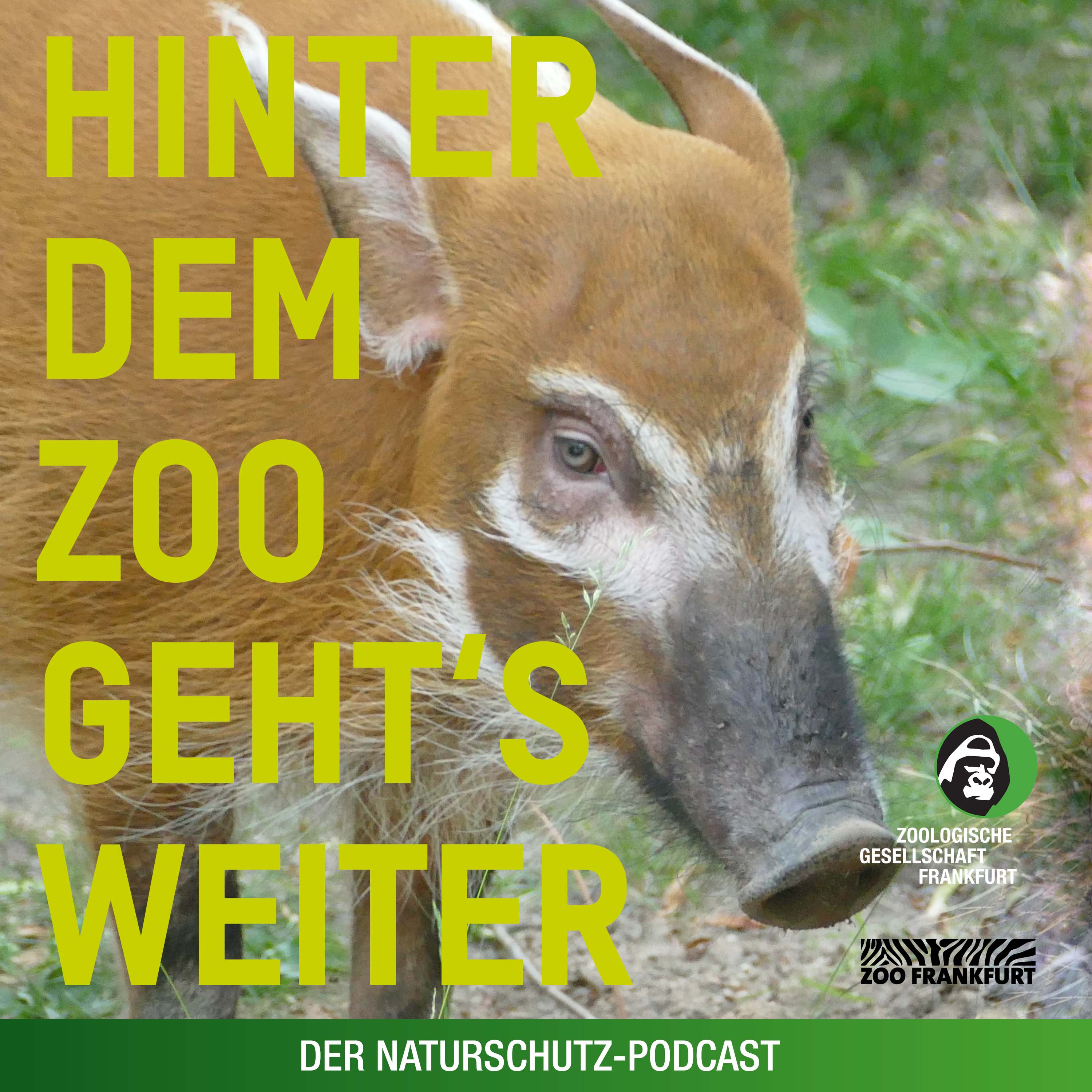 Hinter dem Zoo geht\'s weiter - Der Naturschutzpodcast aus Frankfurt