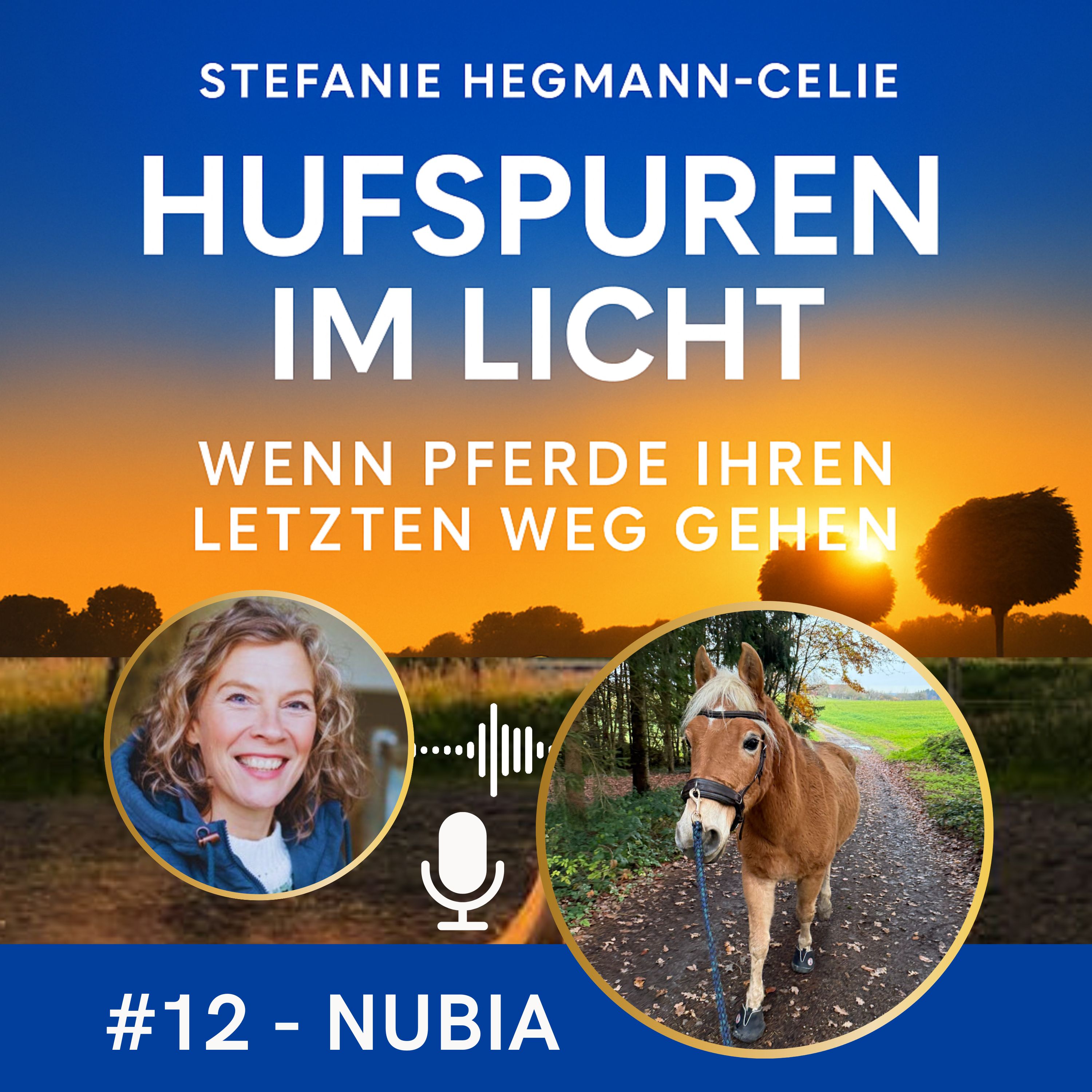 #12 - Nubia: Ein Goldstück  I  Die besondere Wirkung von Pferden in der Trauerbegleitung für Menschen  I  Kolik episode artwork