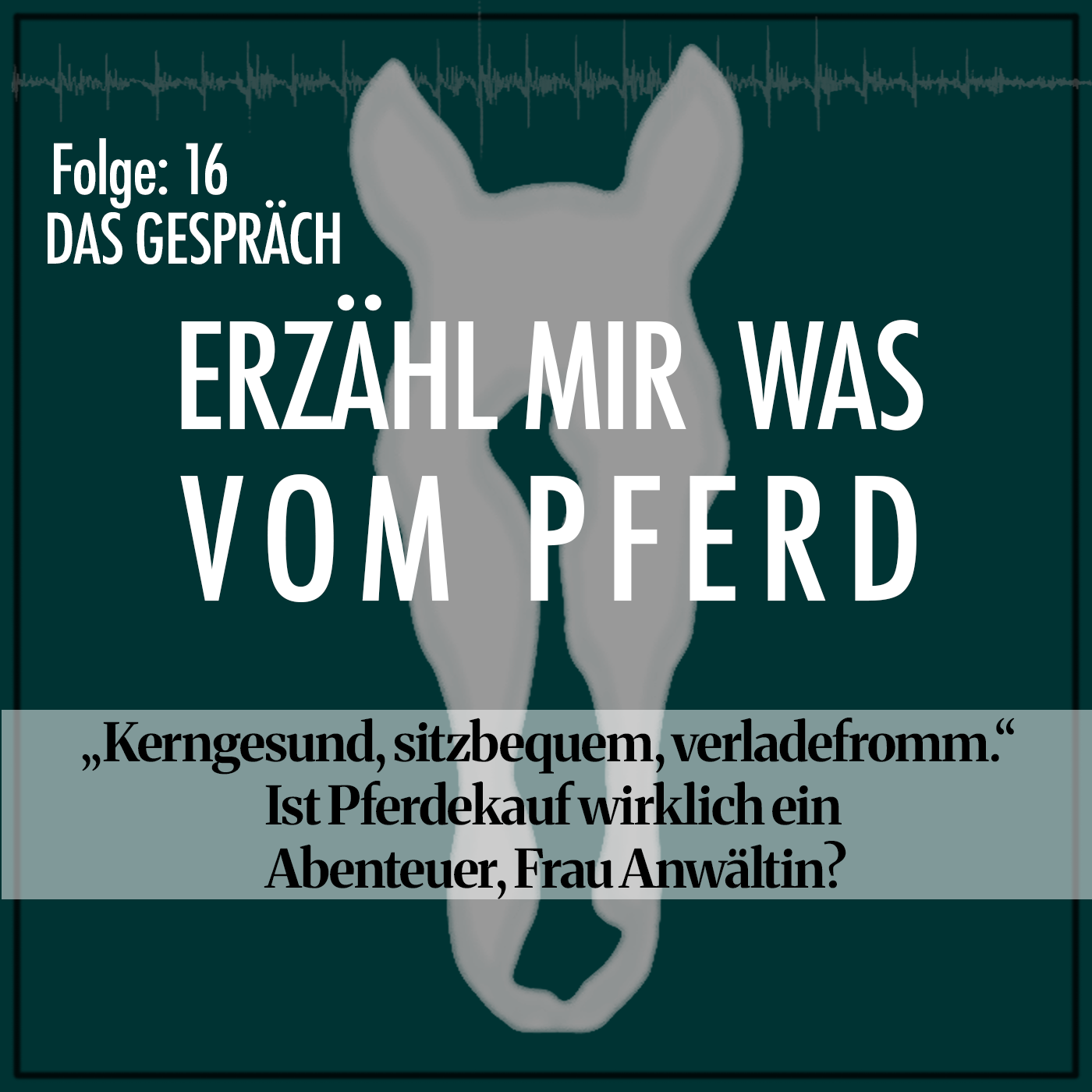 #16 „Kerngesund, sitzbequem, verladefromm“ – Ist Pferdekauf wirklich ein Abenteuer, Frau Anwältin? episode artwork