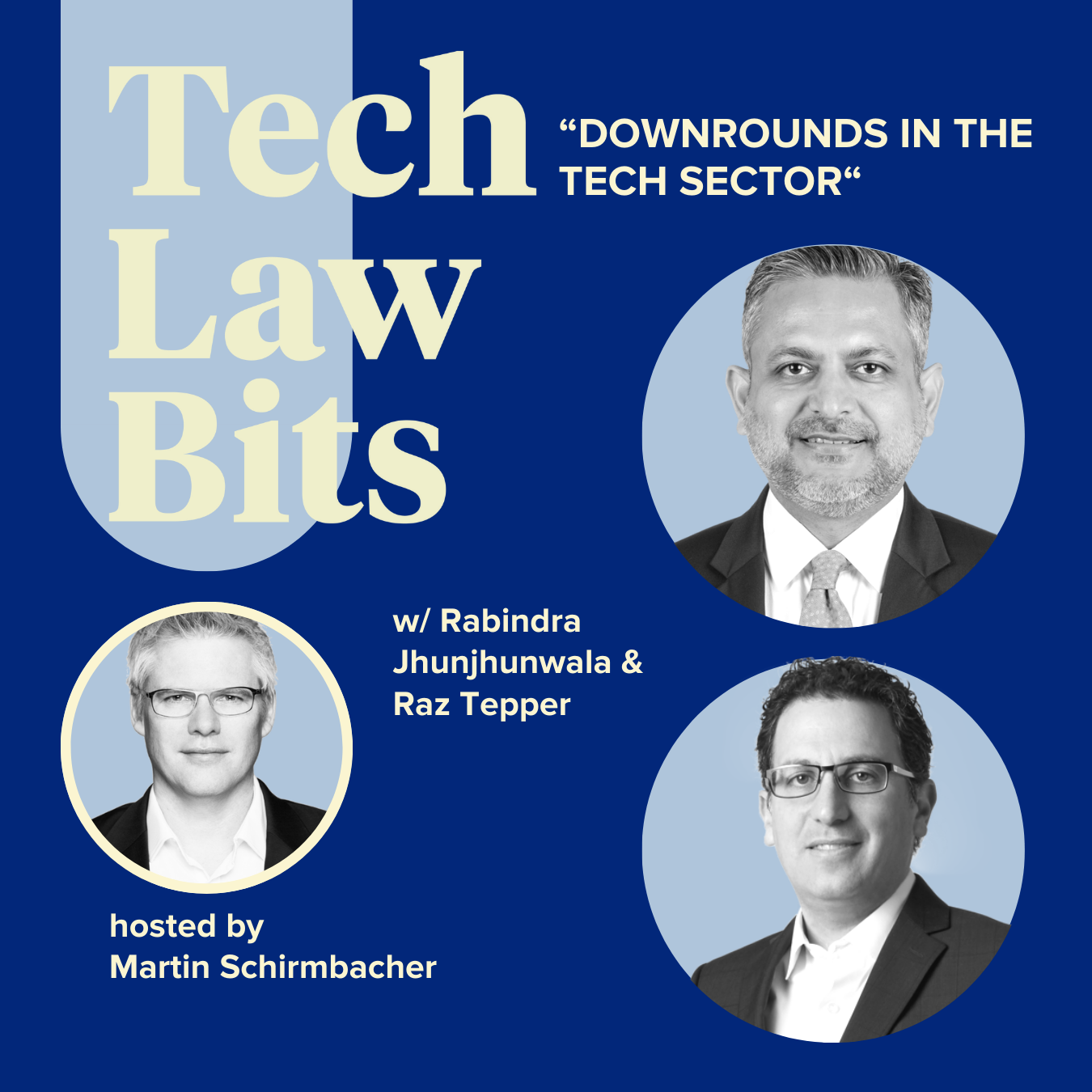 Tech Law Bits