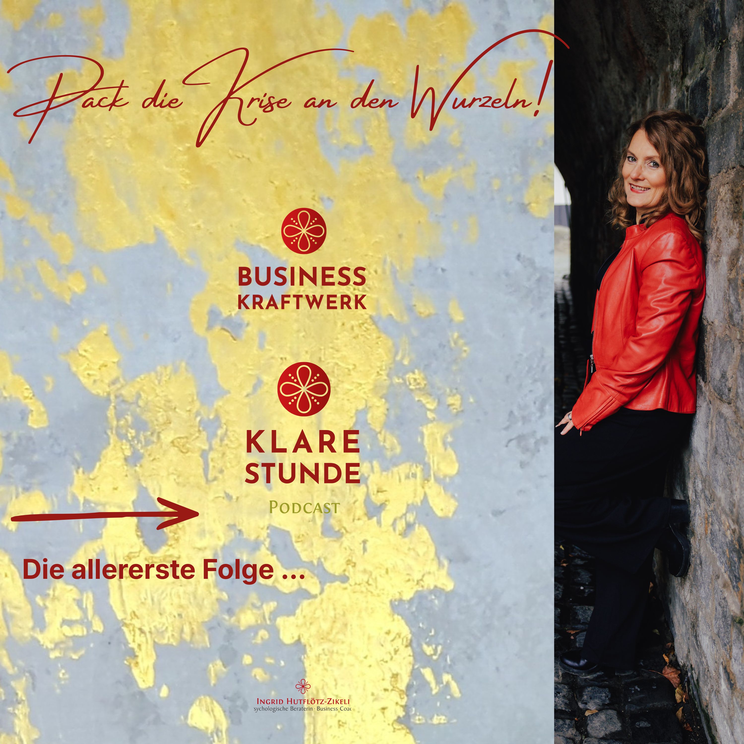 1. Folge: Pack die Krise an den Wurzeln episode artwork