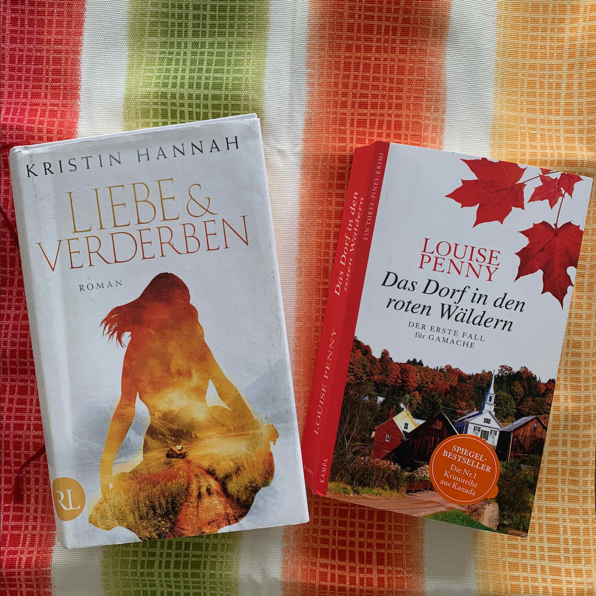 Katjas und Inas Buchgestöber