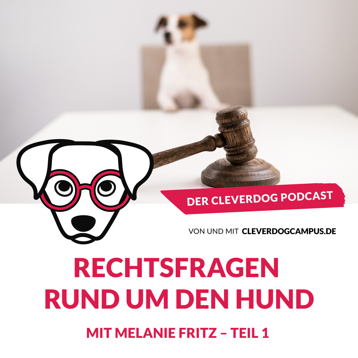 Der Cleverdog Podcast – mehr Wissen rund um den Hund!