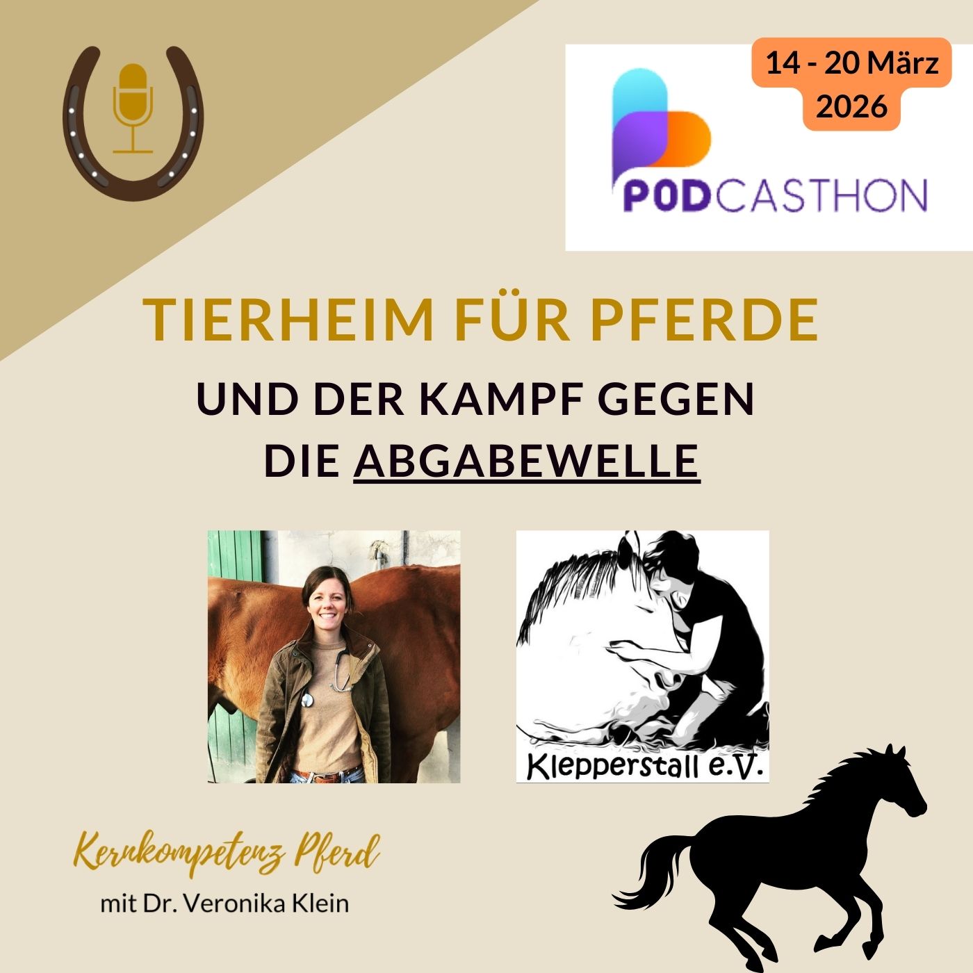 Tierheim für Pferde - Der verzweifelte Kampf gegen die Abgabewelle.
