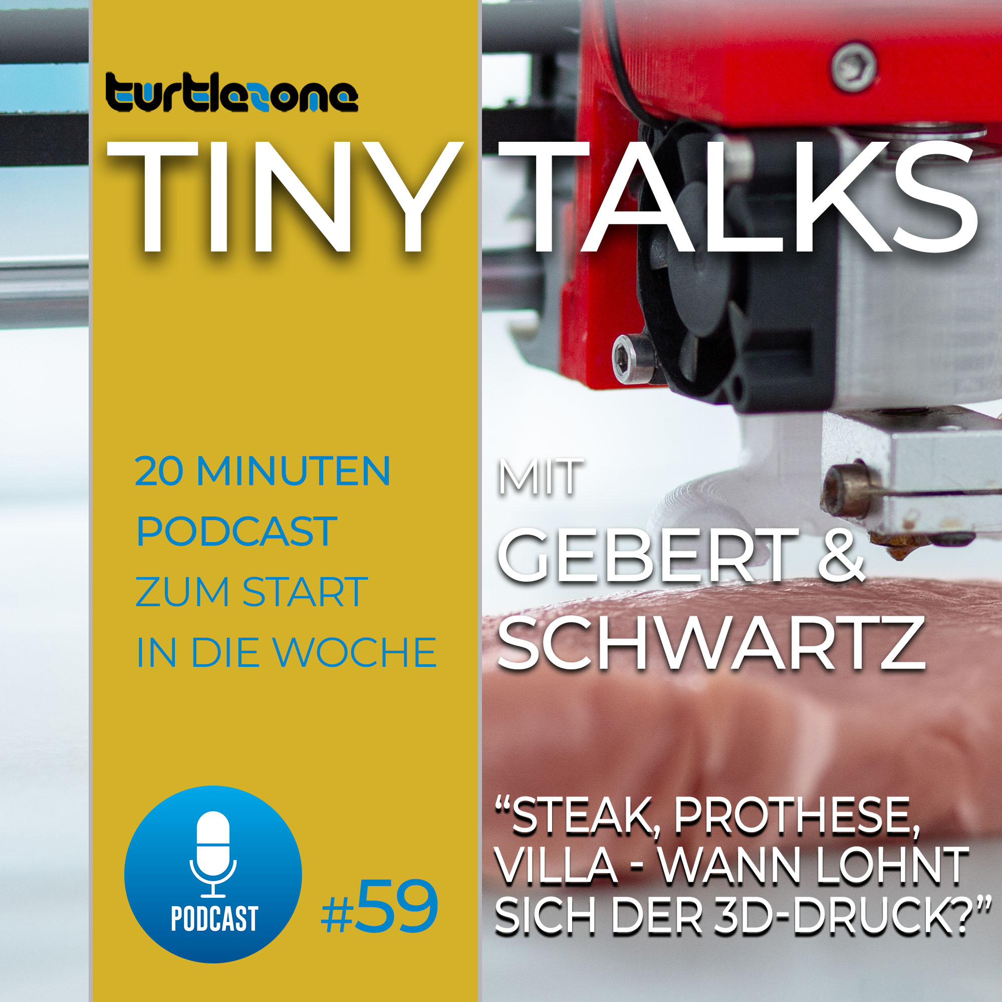 Turtlezone Tiny Talks - Der Debatten-Podcast mit Gebert und Schwartz