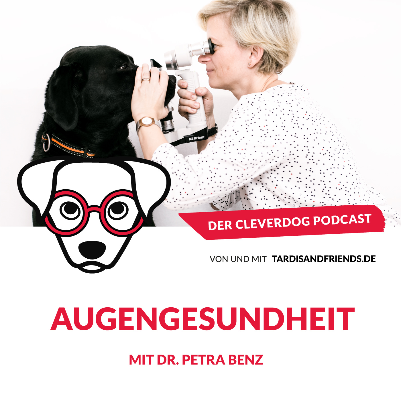 Der Cleverdog Podcast – mehr Wissen rund um den Hund!