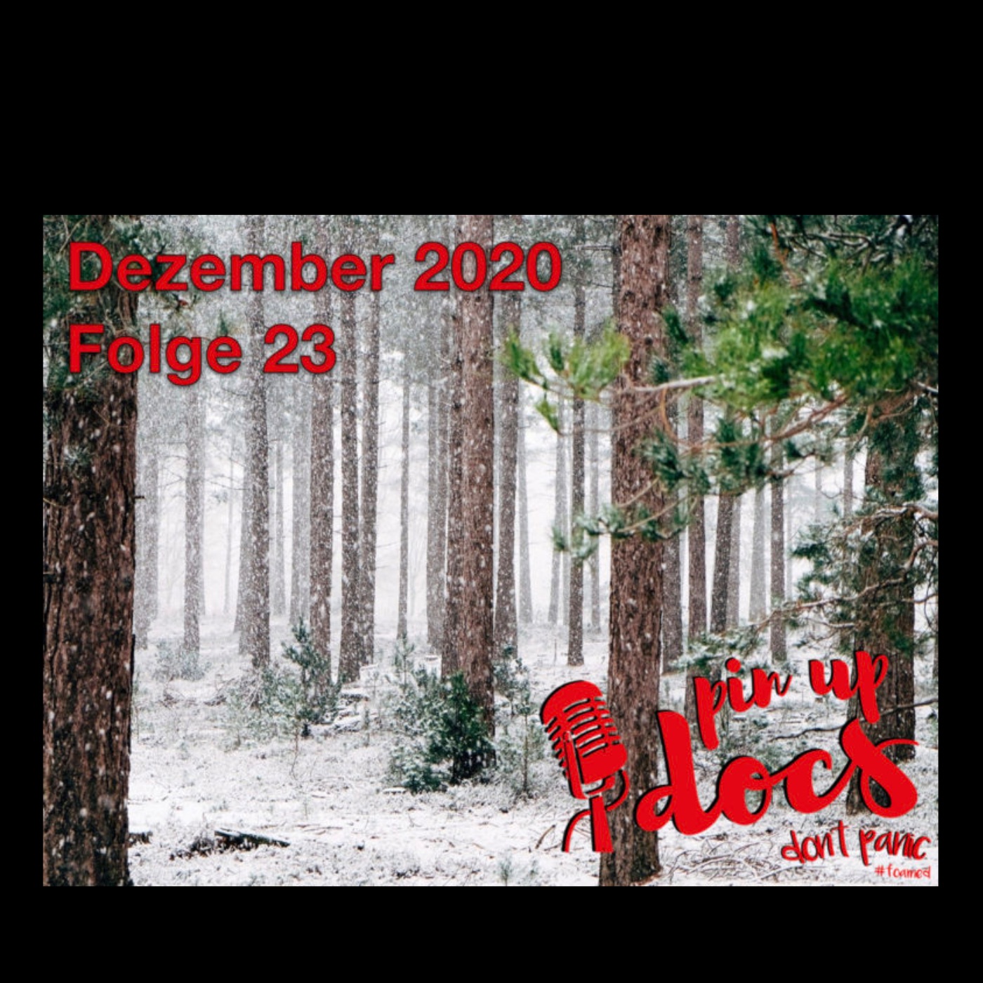Hauptfolge 23 - Dezember 2020