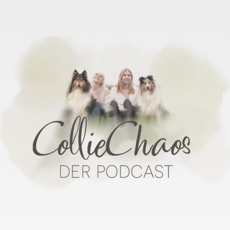 Paws & Pixels - Podcast