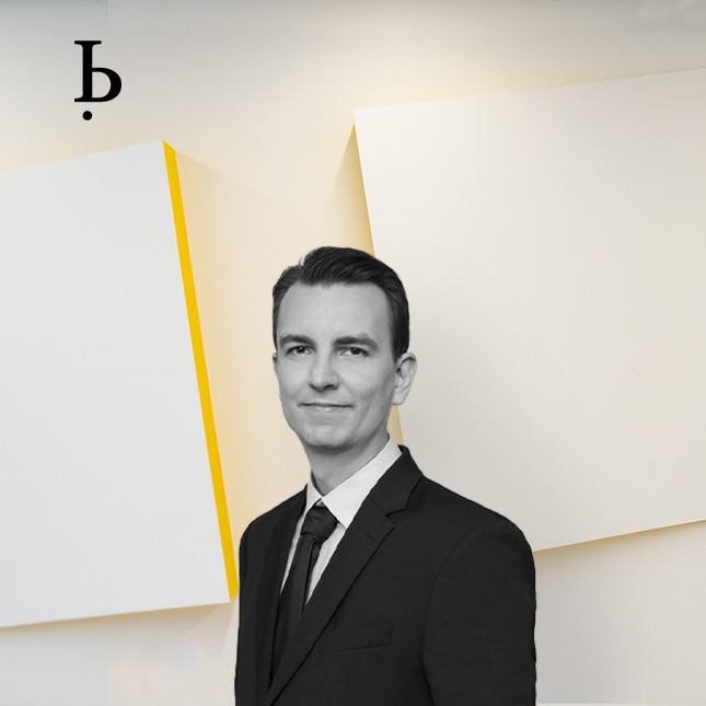 BARDEHLE IP Experts