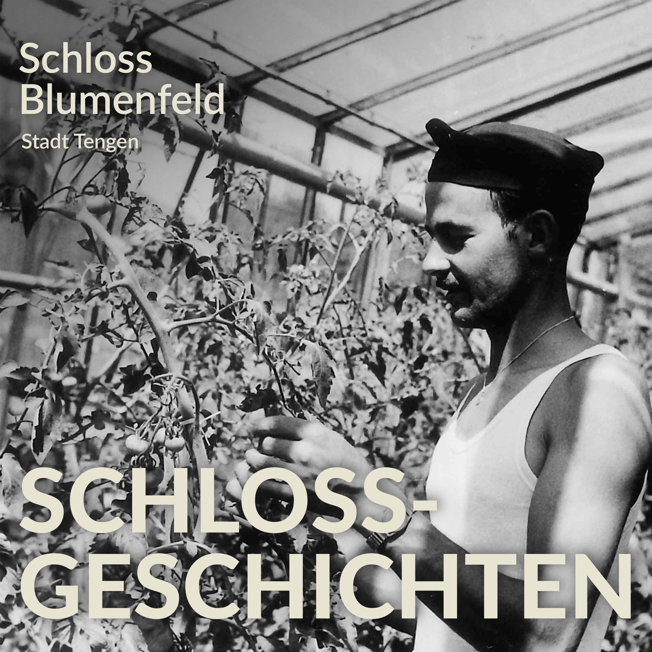Schlossgeschichten aus Schloss Blumenfeld