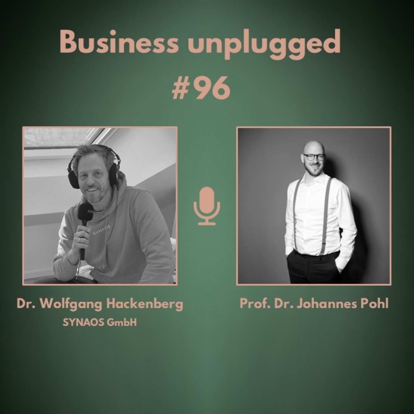 Business unplugged - Menschen, Unternehmen und Aspekte der Digitalisierung