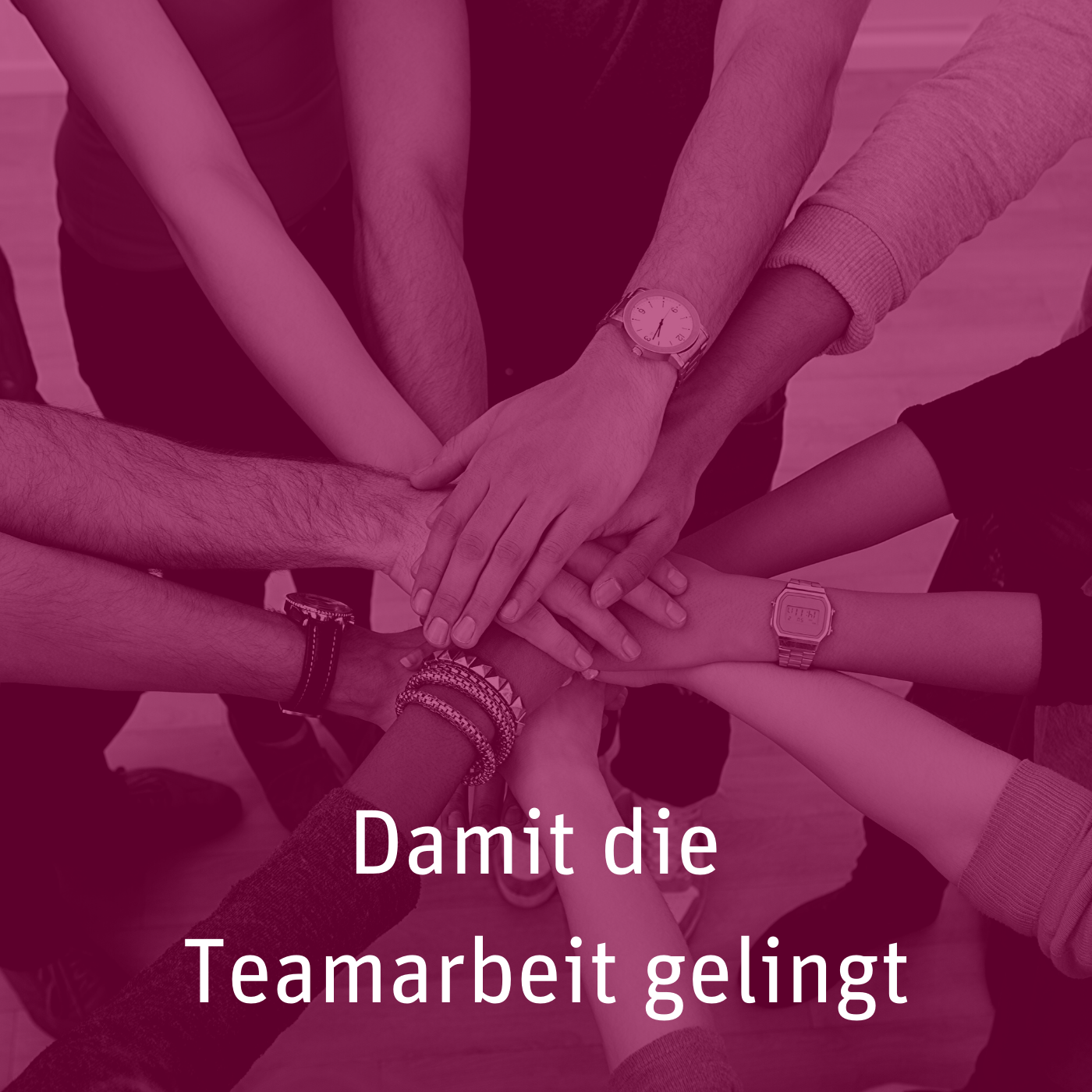 Unternehmensnachfolge mit System