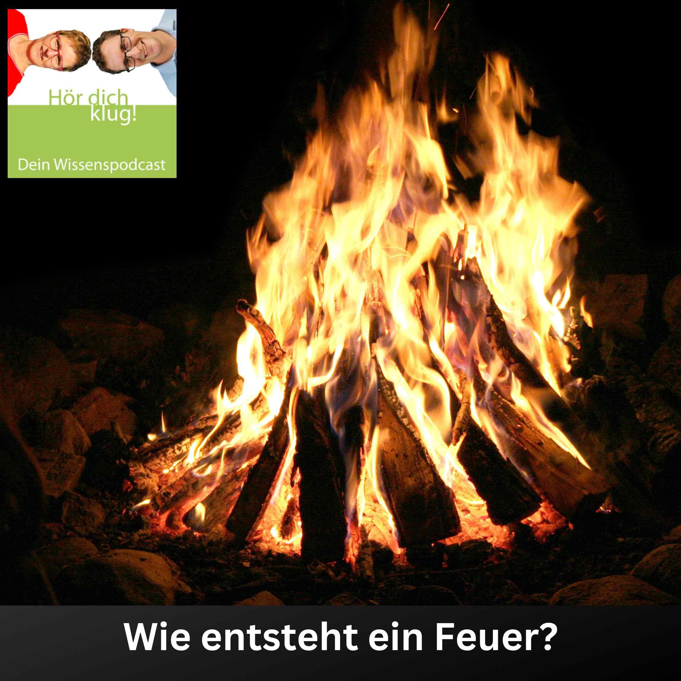 Hör dich klug! - Dein Wissenspodcast