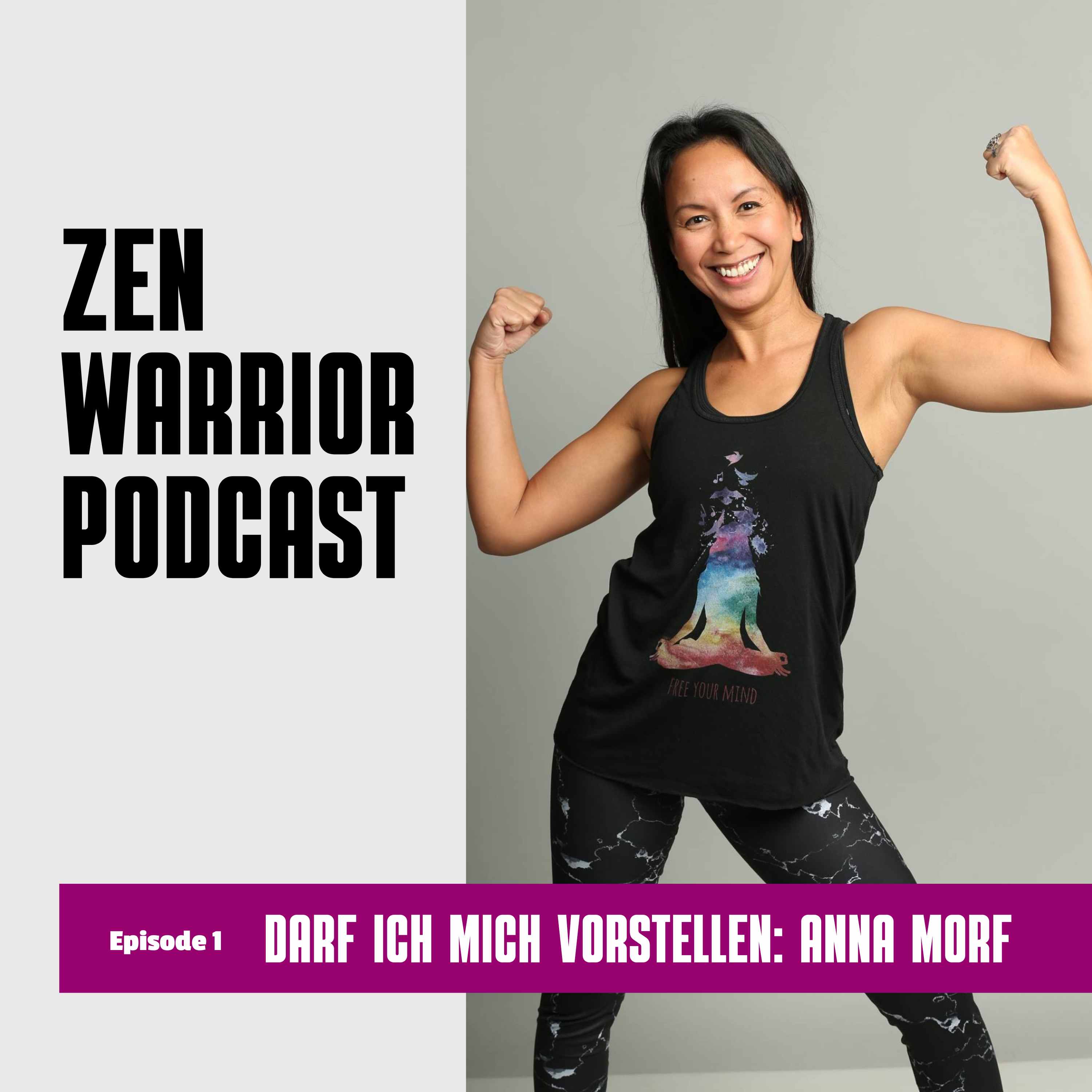 The Zen Warrior Podcast