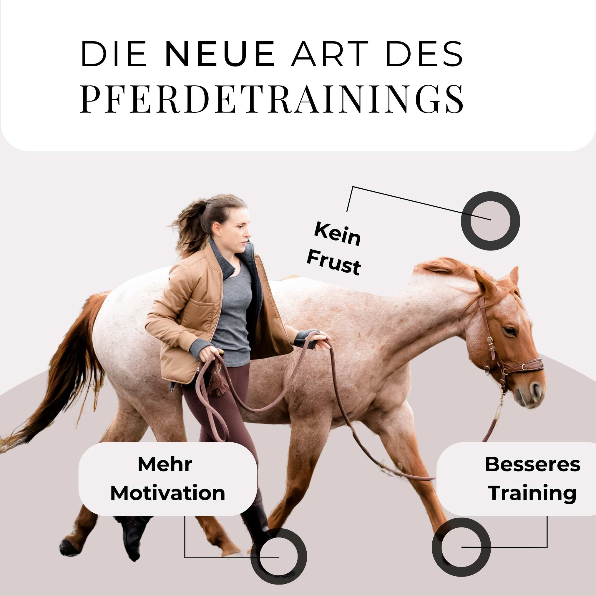 Pferdeflüsterei TO GO! Für Pferdemenschen mit Herz