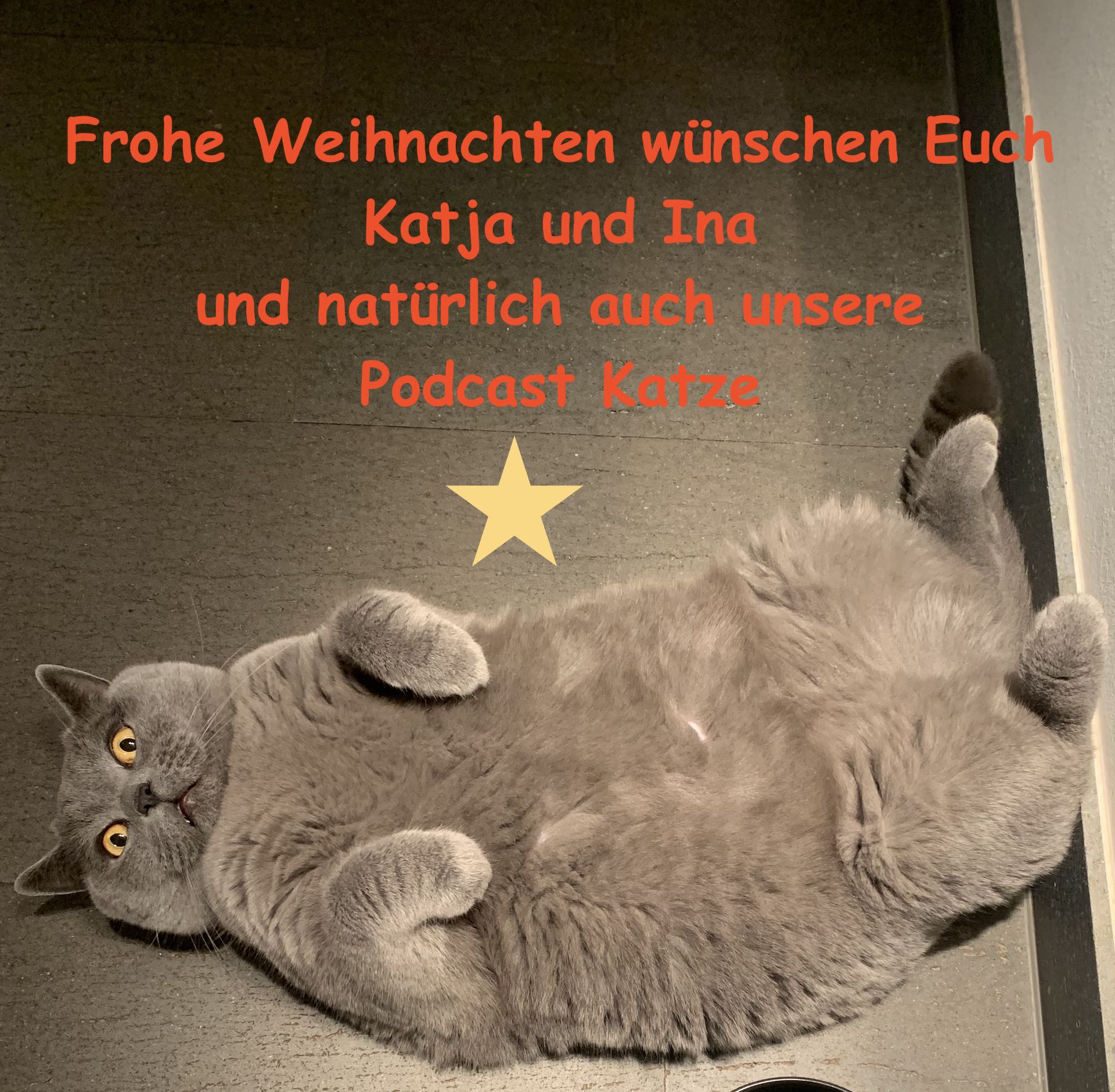 Katjas und Inas Buchgestöber