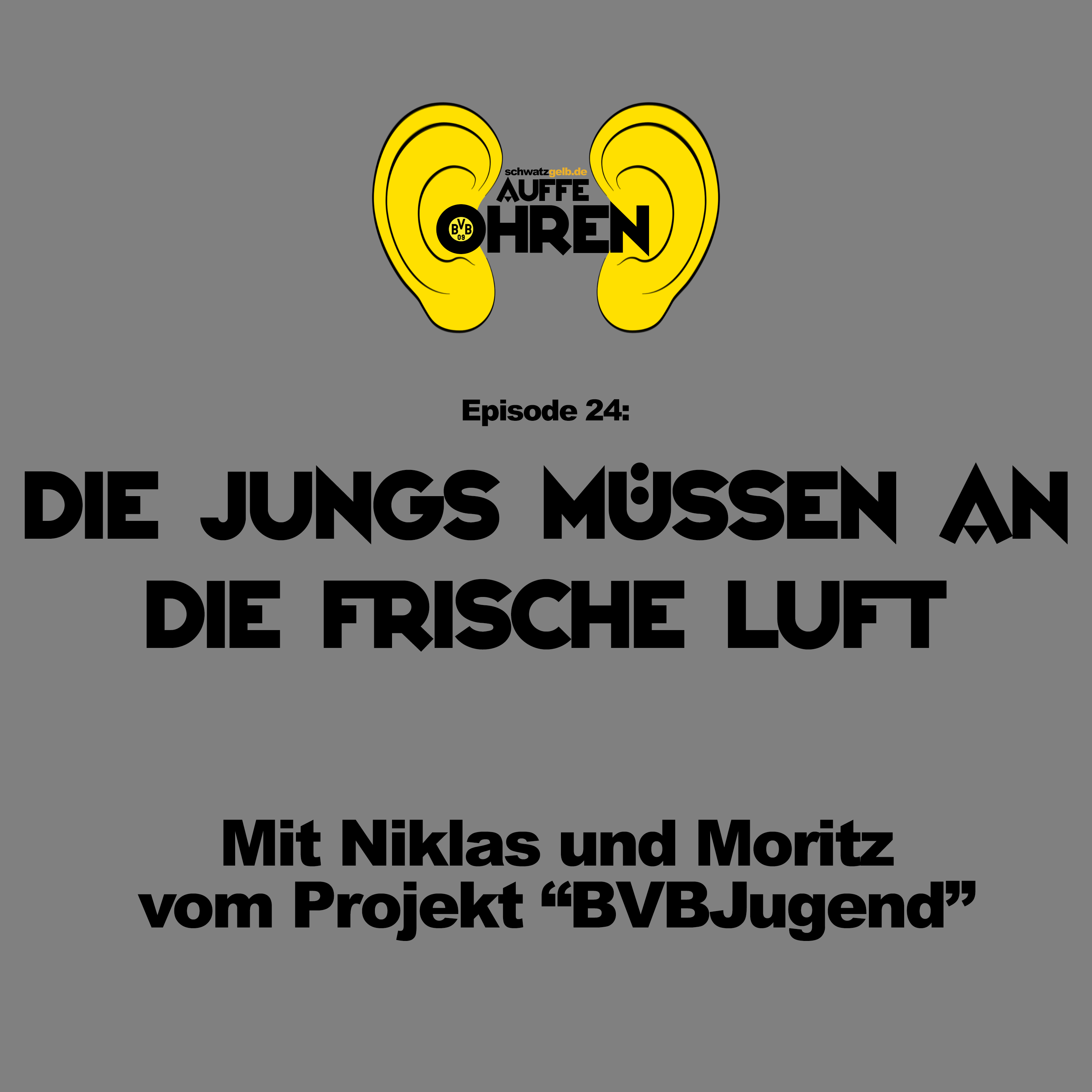 Auffe Ohren - Der BVB-Podcast von schwatzgelb.de