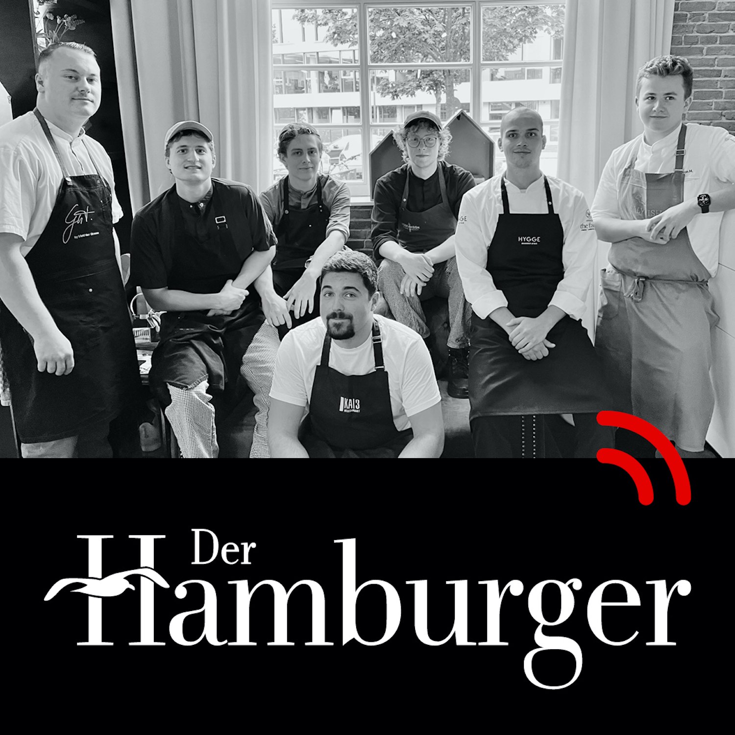 DER HAMBURGER Inside. Stimmen dieser Stadt