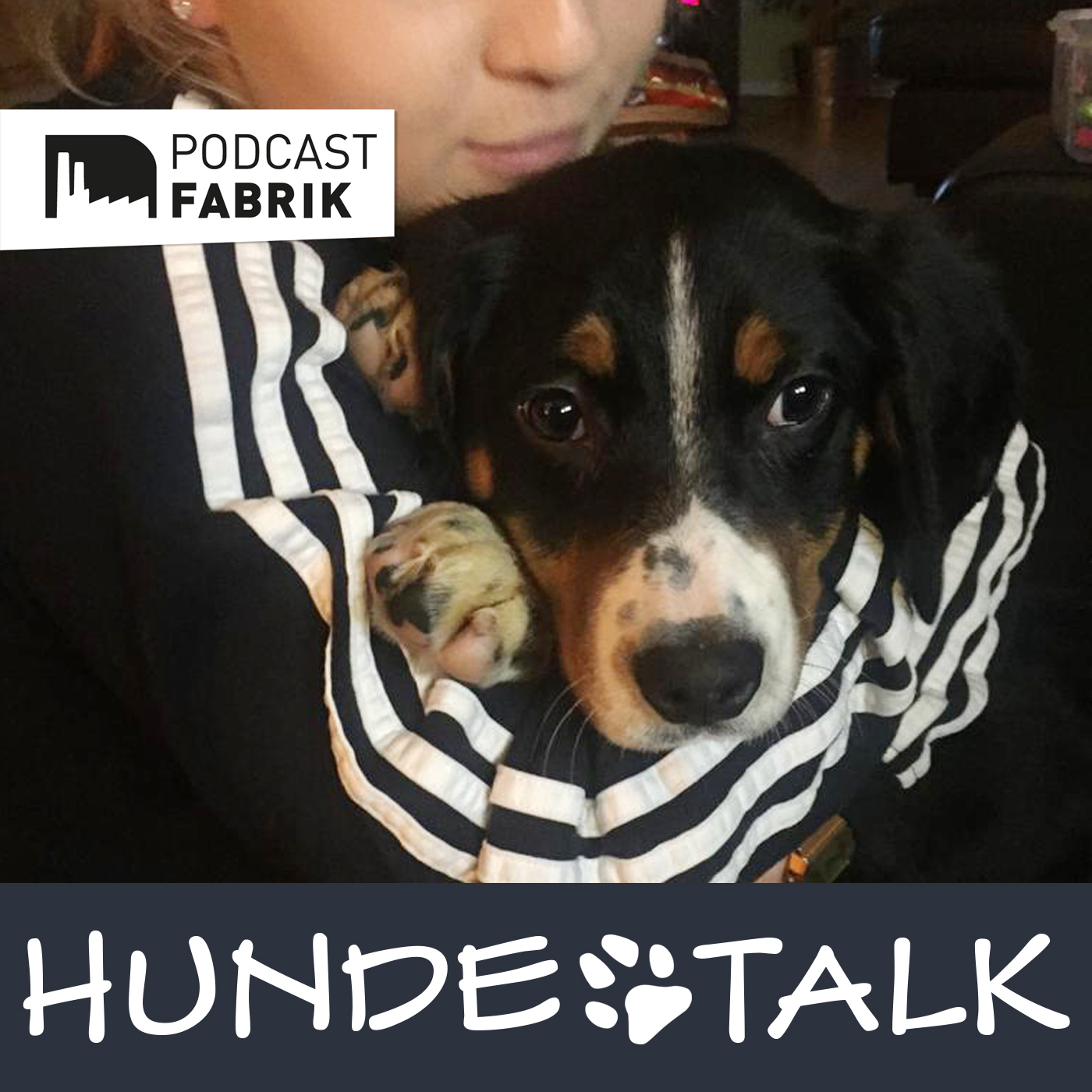 HUNDETALK - Dein Hunderunde-Podcast
