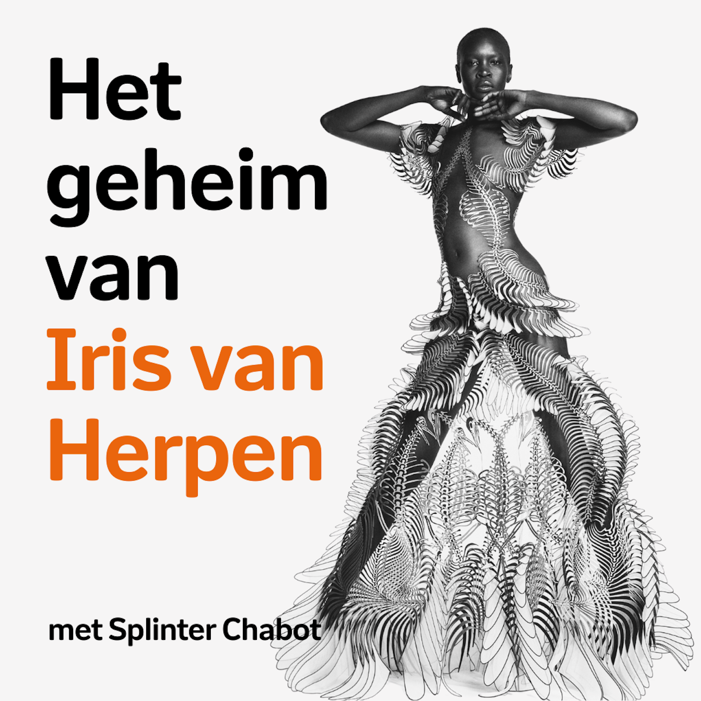 Het geheim ontrafeld | Het geheim van Iris van Herpen Afl 3