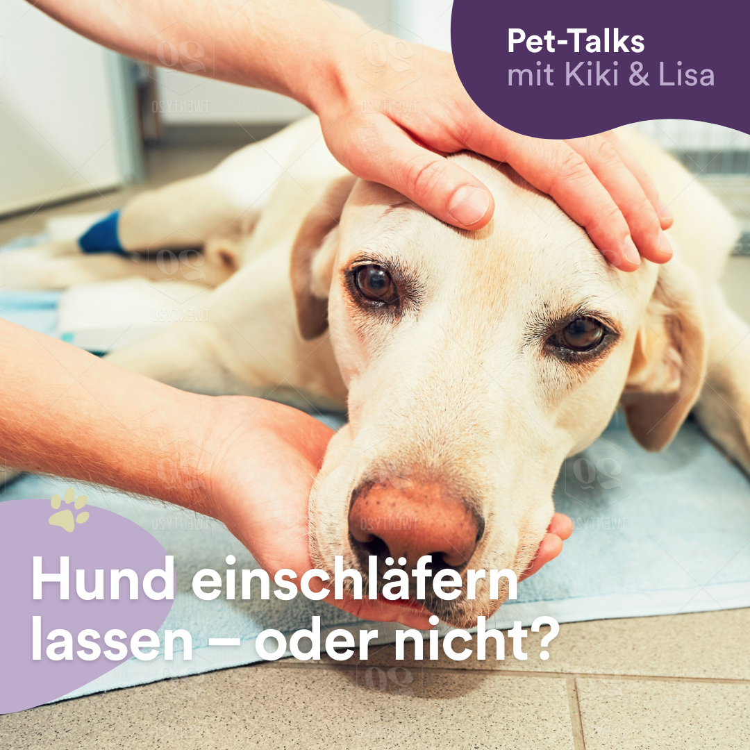 Pet-Talks mit Kiki & Lisa - der Hunde-Podcast von DeineTierwelt