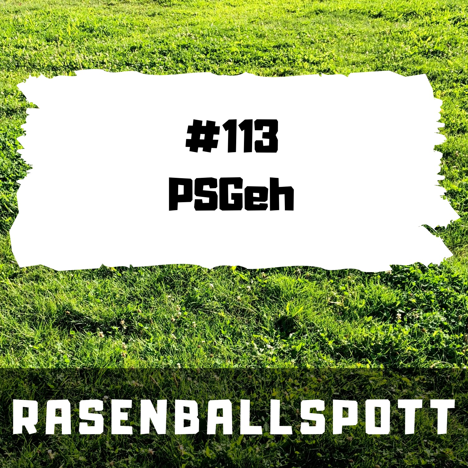 RASENBALLSPOTT