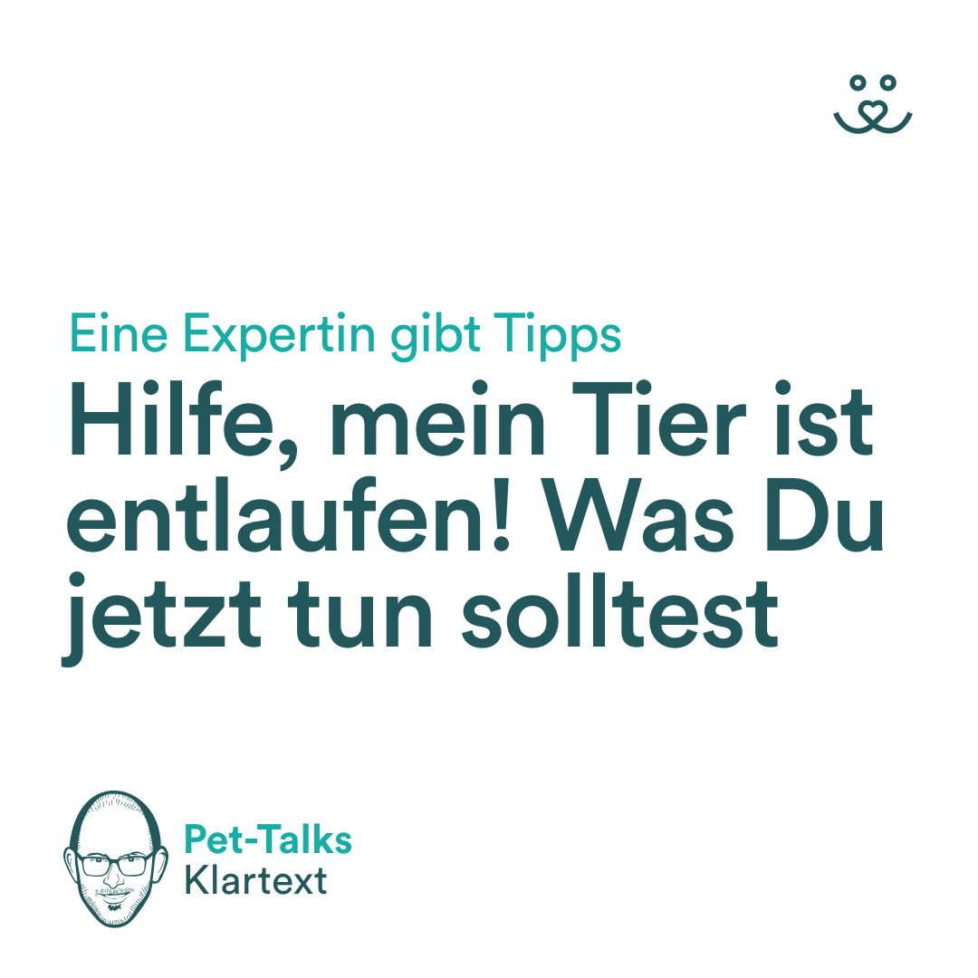 Pet-Talks: Klartext – der Interview-Podcast von DeineTierwelt