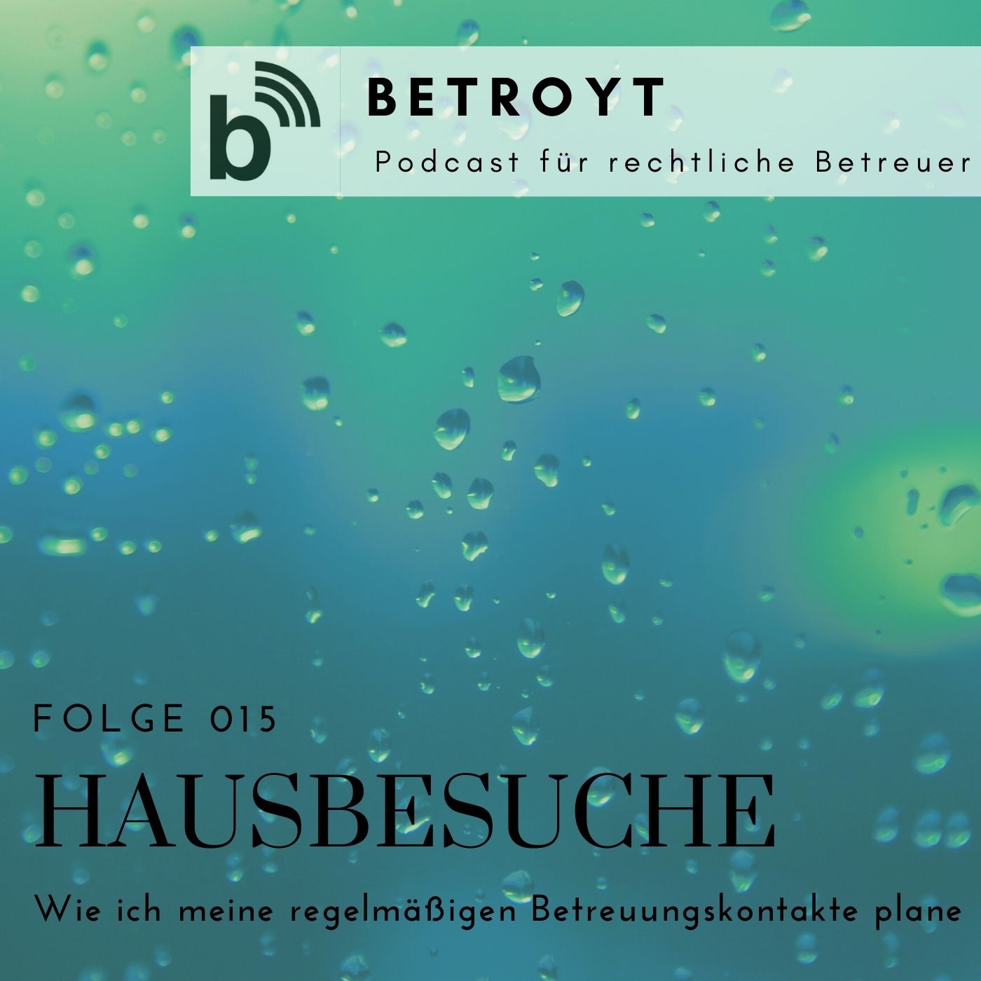 Folge 015 Hausbesuche - Wie ich meine regelmäßigen Betreuungskontakte plane