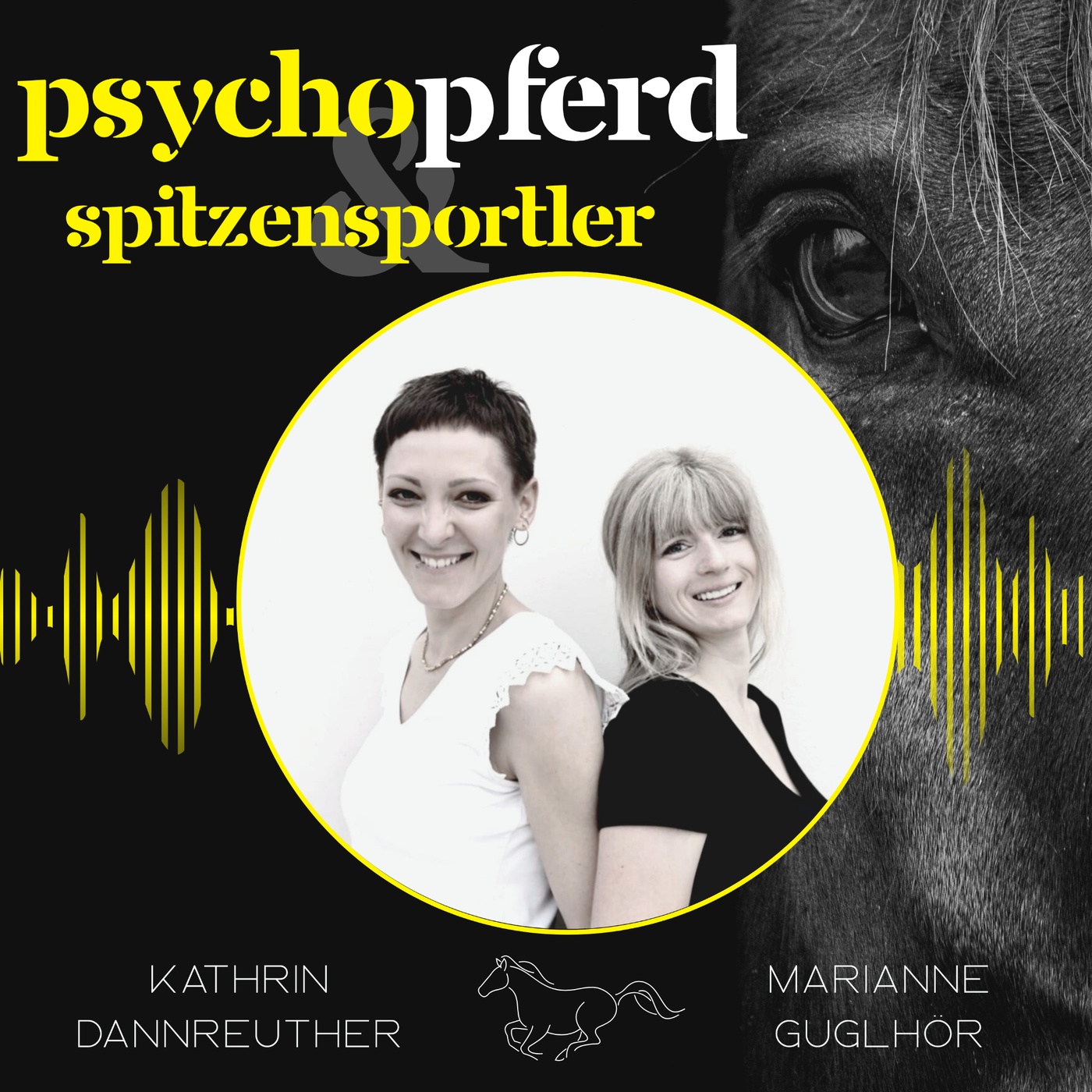 Das Problem ist nicht die Fliegendecke #044 PsychoPferd & Spitzensportler episode artwork