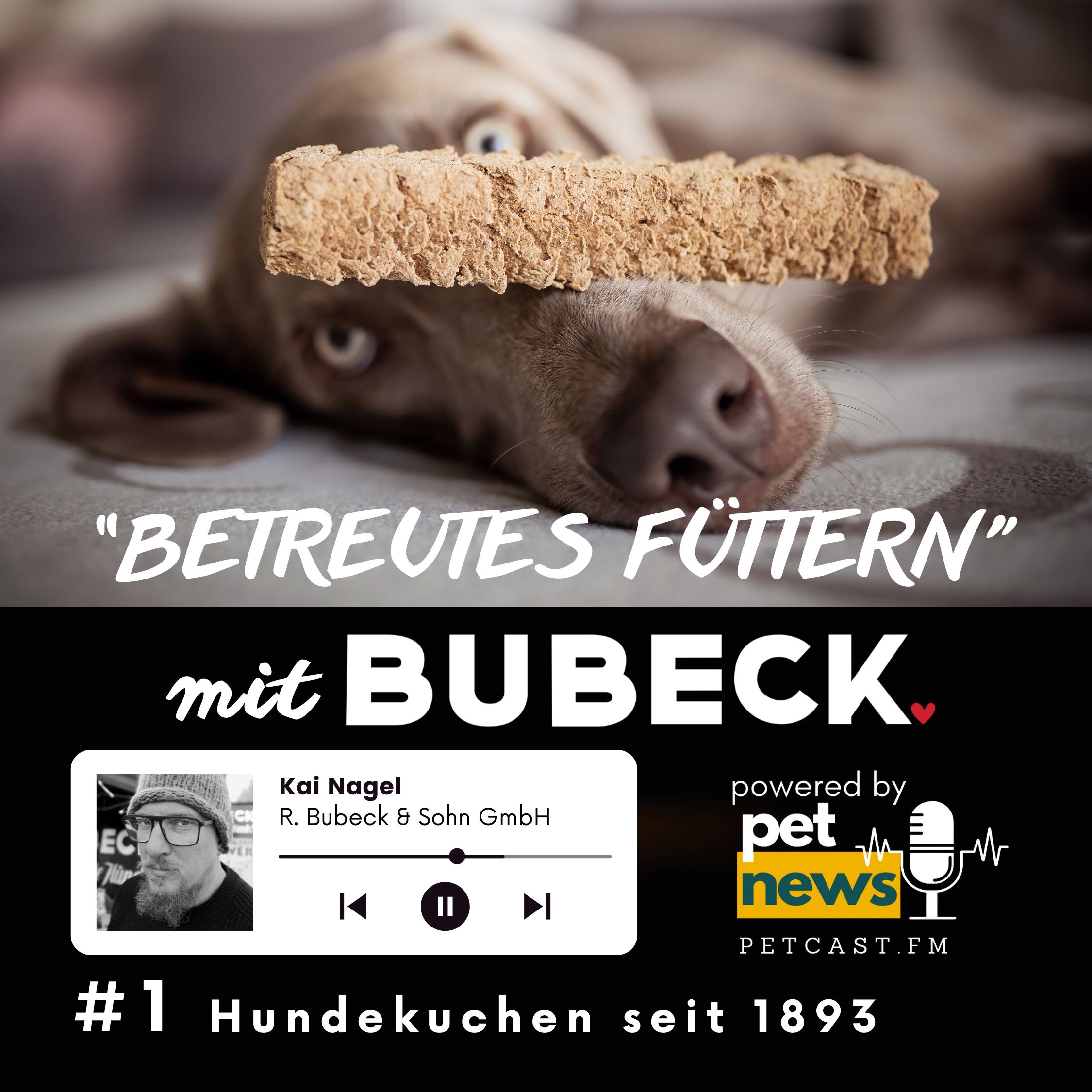 Betreutes Füttern mit Bubeck - Die älteste Hundefuttermanufaktur von 1893