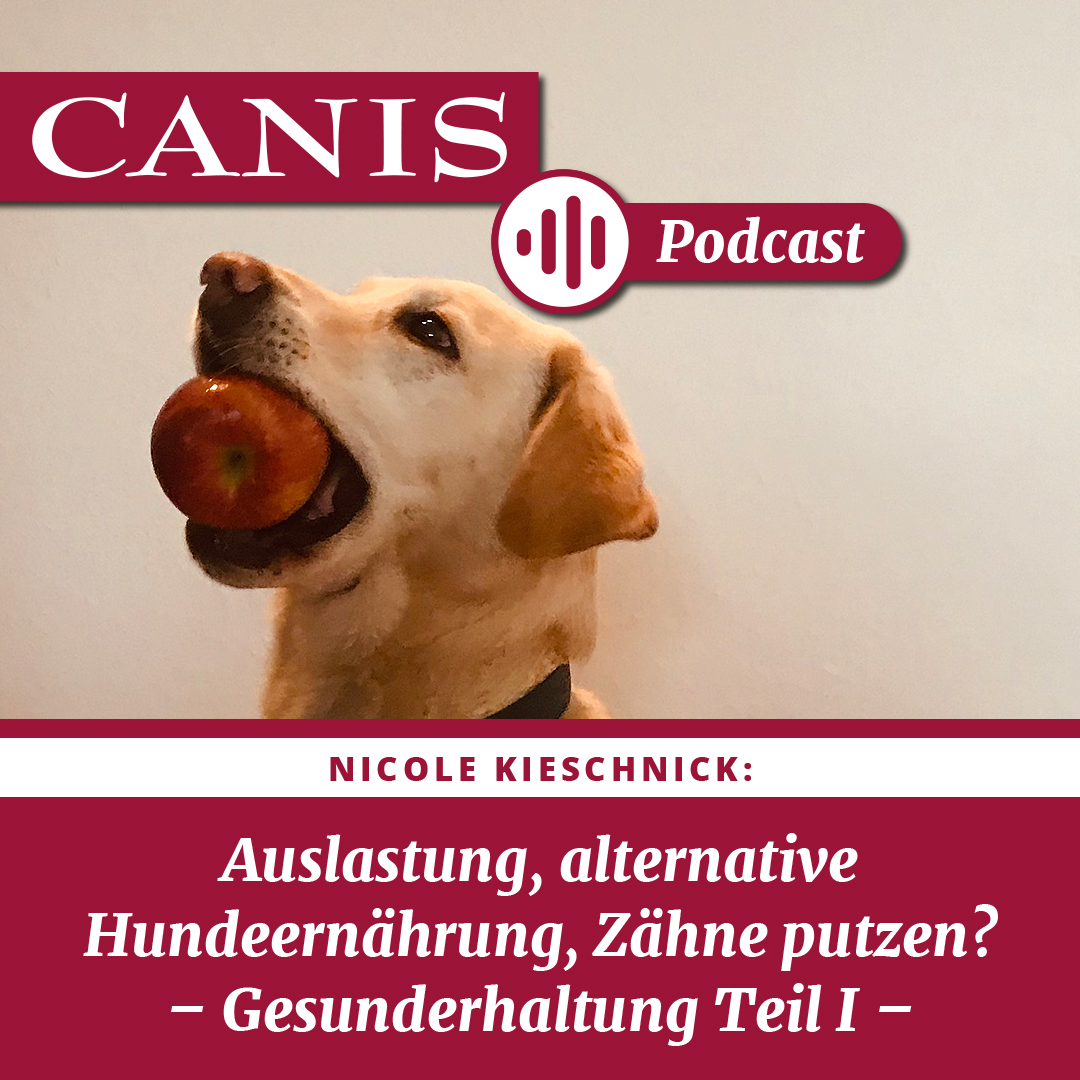 Der CANIS-Podcast – Hundeexpert:innen ausgefragt