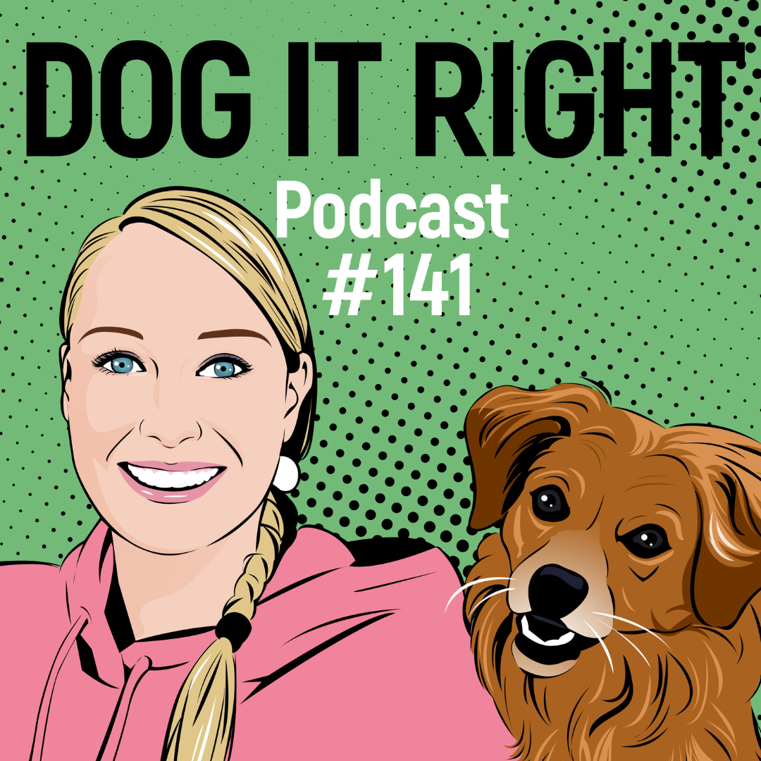 #141: Wenn dein Hund ausrastet, sobald er einen anderen Hund sieht – Saskias Geschichte mit Elo