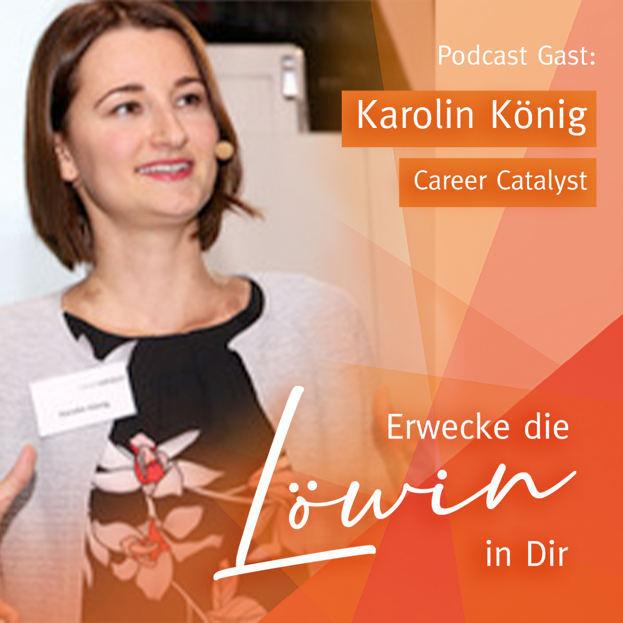 Erwecke die Löwin in Dir - Female Business, Erfolg, Geld und Fülle