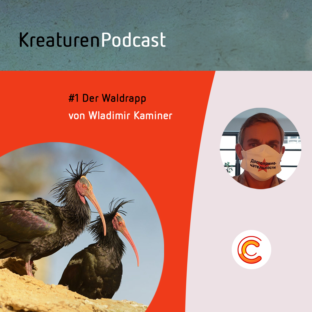 Kreaturen Podcast - Folge 01: Der Waldrapp mit Wladimir Kaminer episode artwork