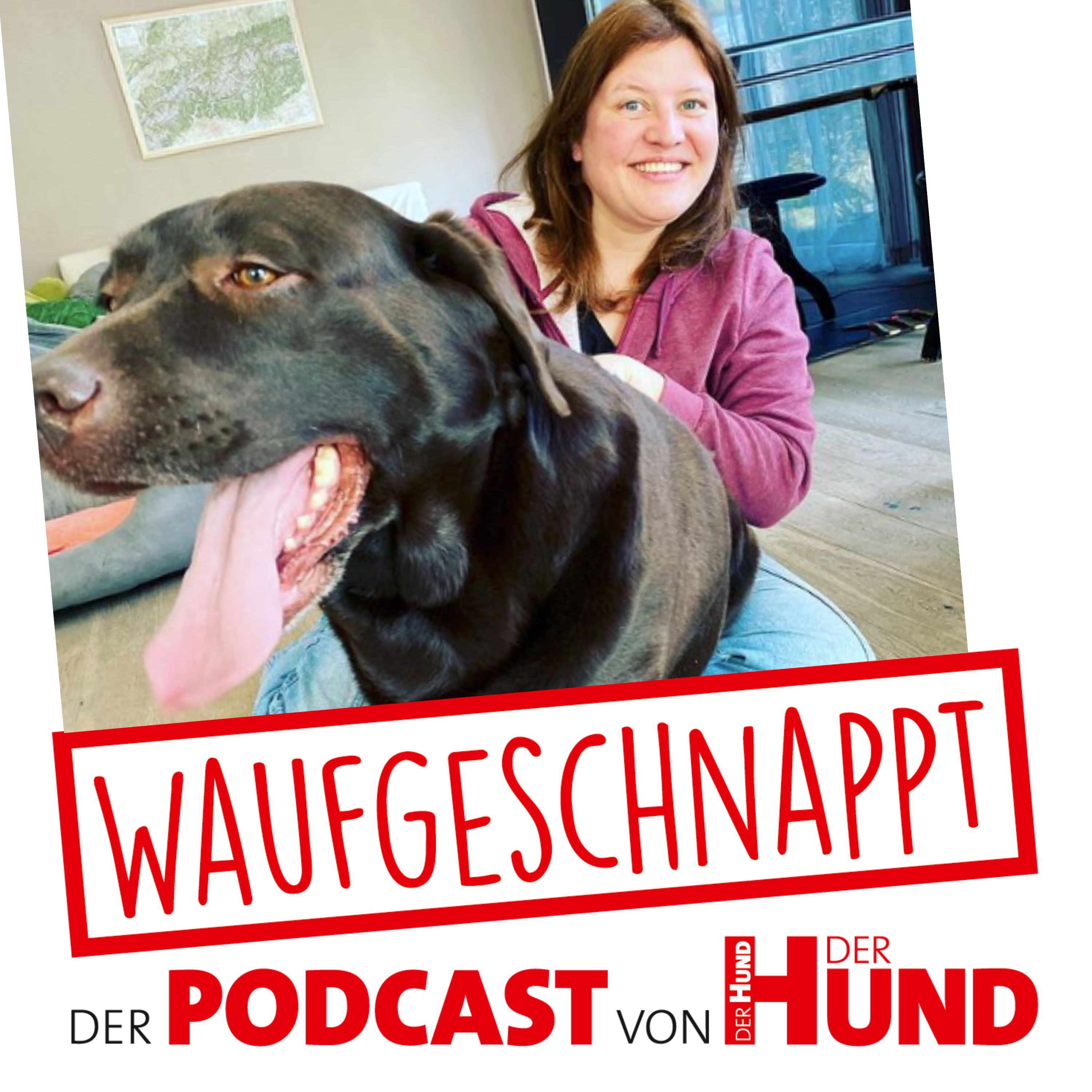 Waufgeschnappt - der Podcast von DER HUND
