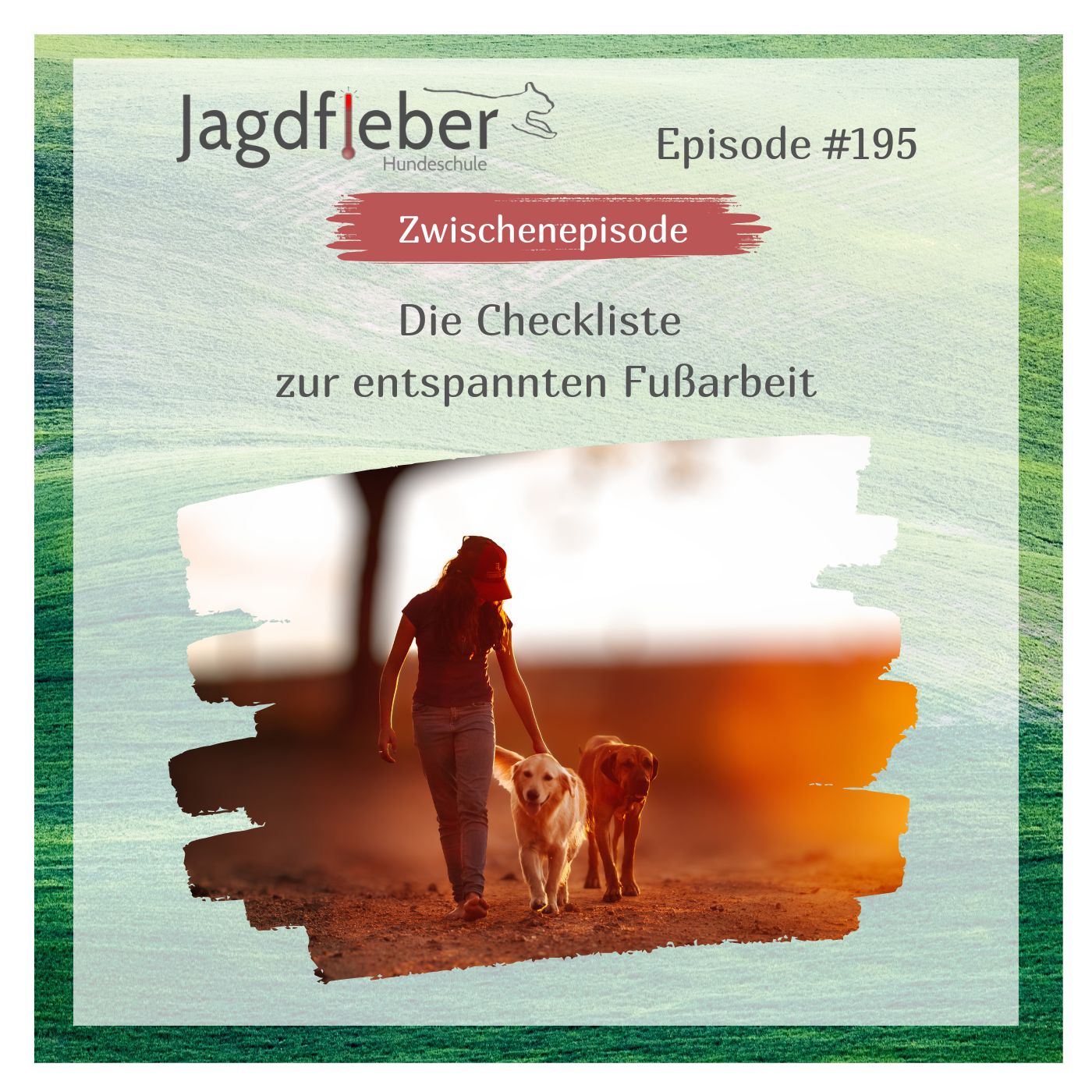 P195: Die Checkliste zur entspannten Fußarbeit episode artwork