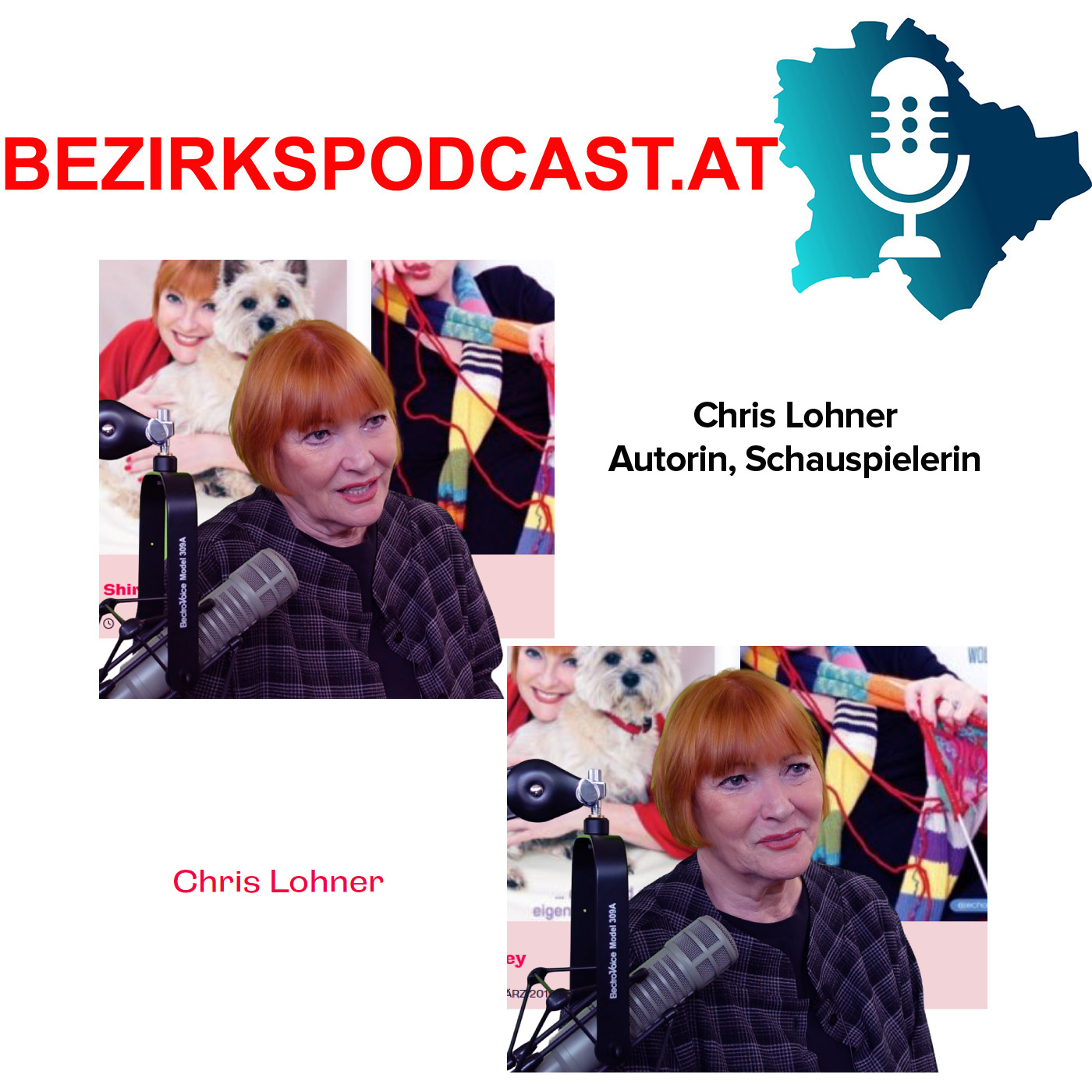 Bezirkspodcast
