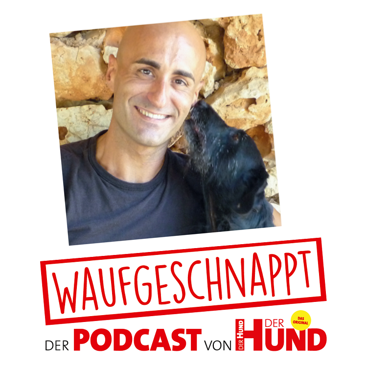 Waufgeschnappt - der Podcast von DER HUND