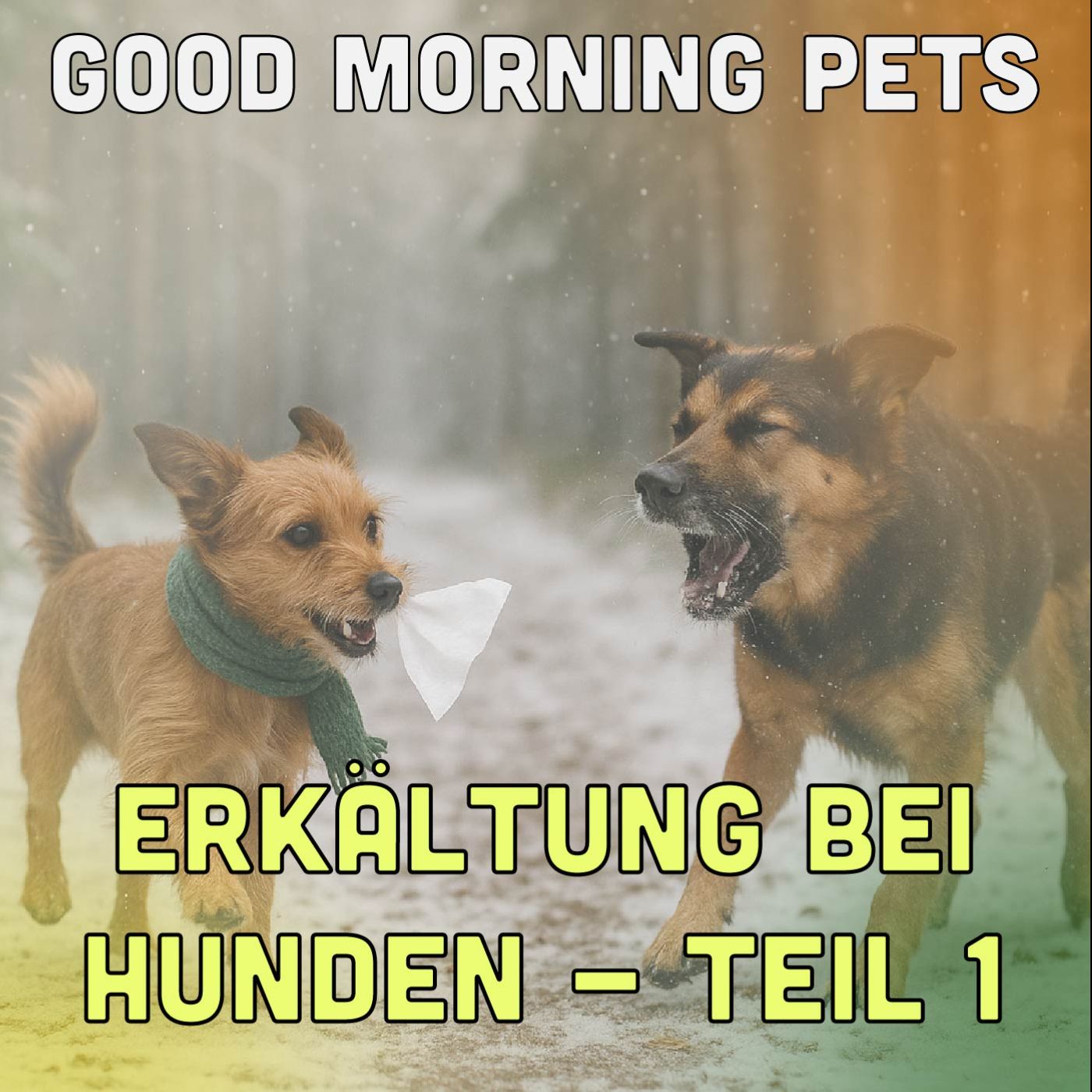 GMP91: Erkältungen bei Hunden (Teil 1)