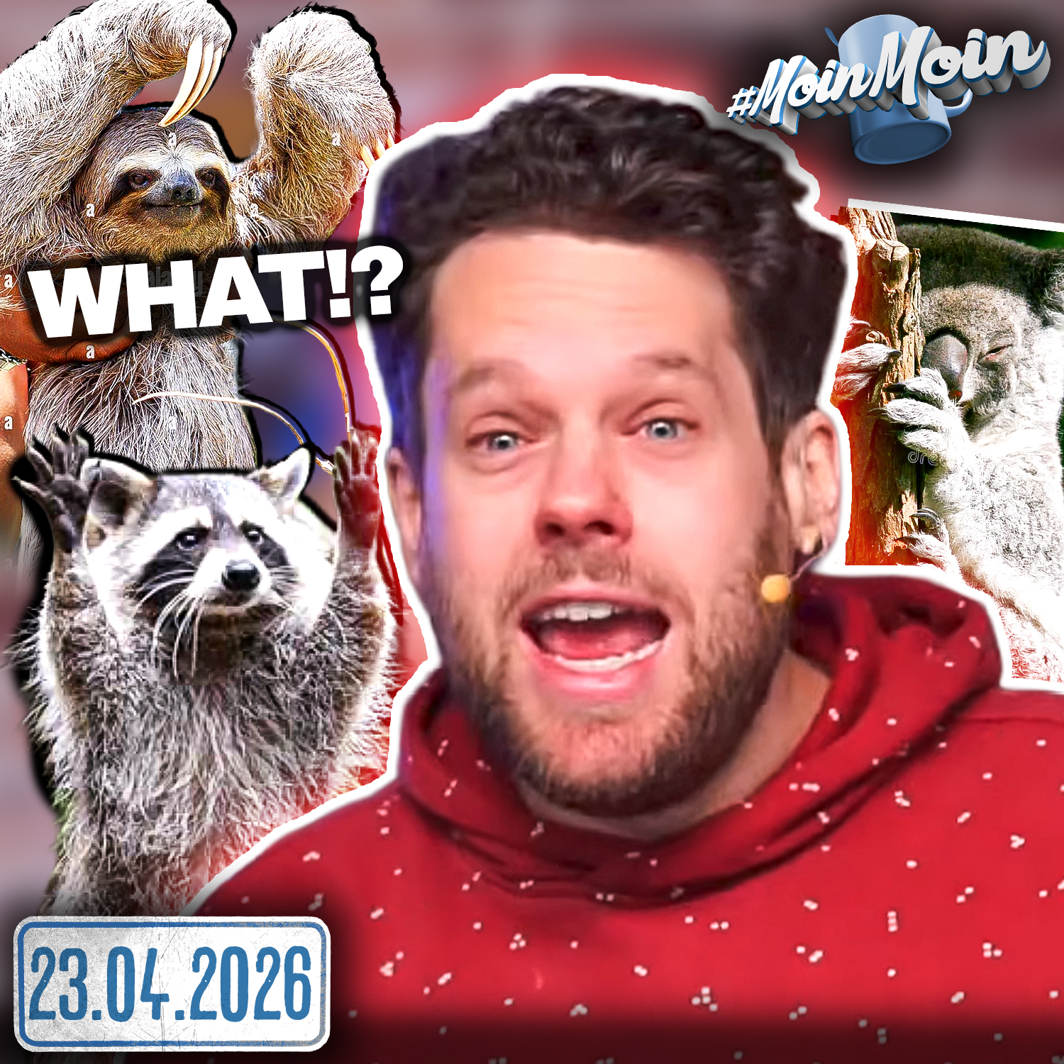 #1619 | MOMENT ... Bin ich der Einzige, der das nicht wusste?!