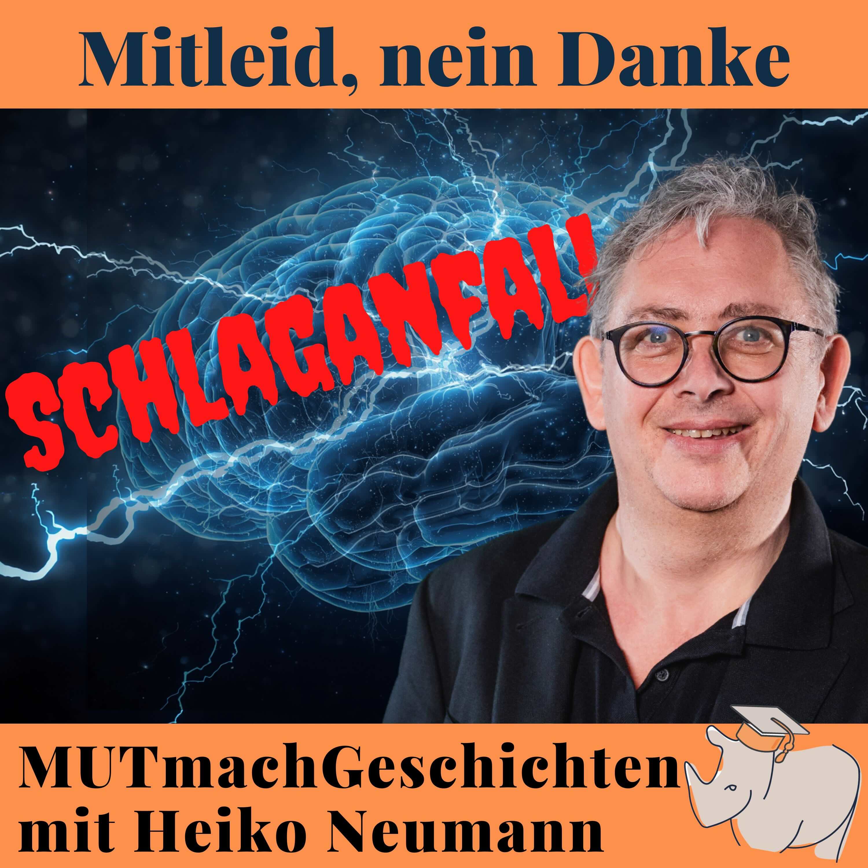 Schlaganfall. Mitleid! Nein Danke. episode artwork