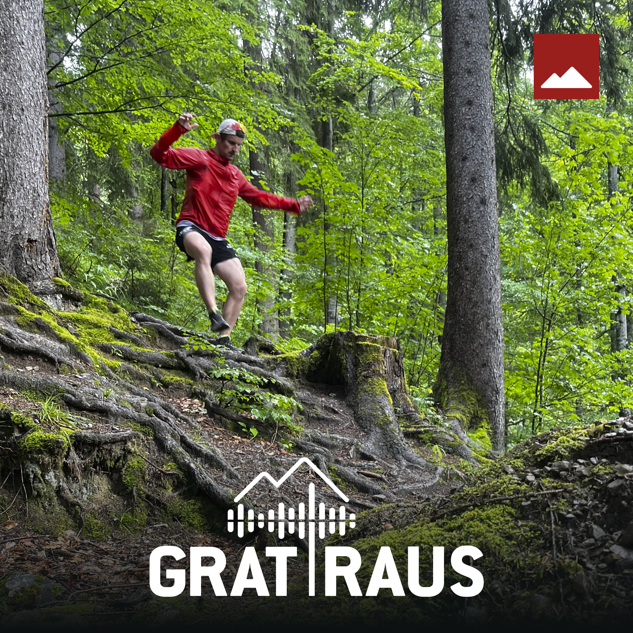 Die Evolution des Laufens – Vom ersten Schritt bis heute
