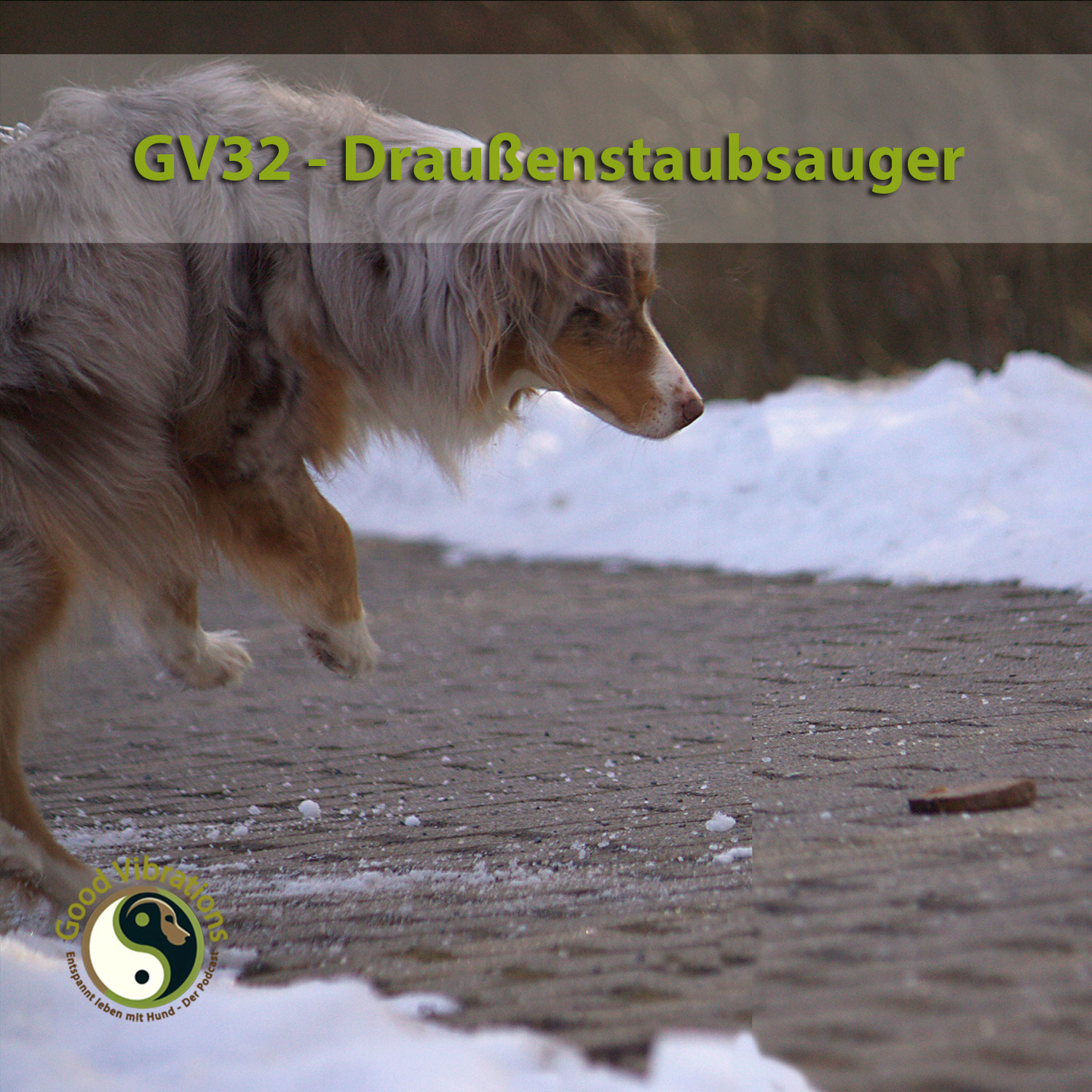Good Vibrations. Entspannt leben mit Hunden. Der Podcast.