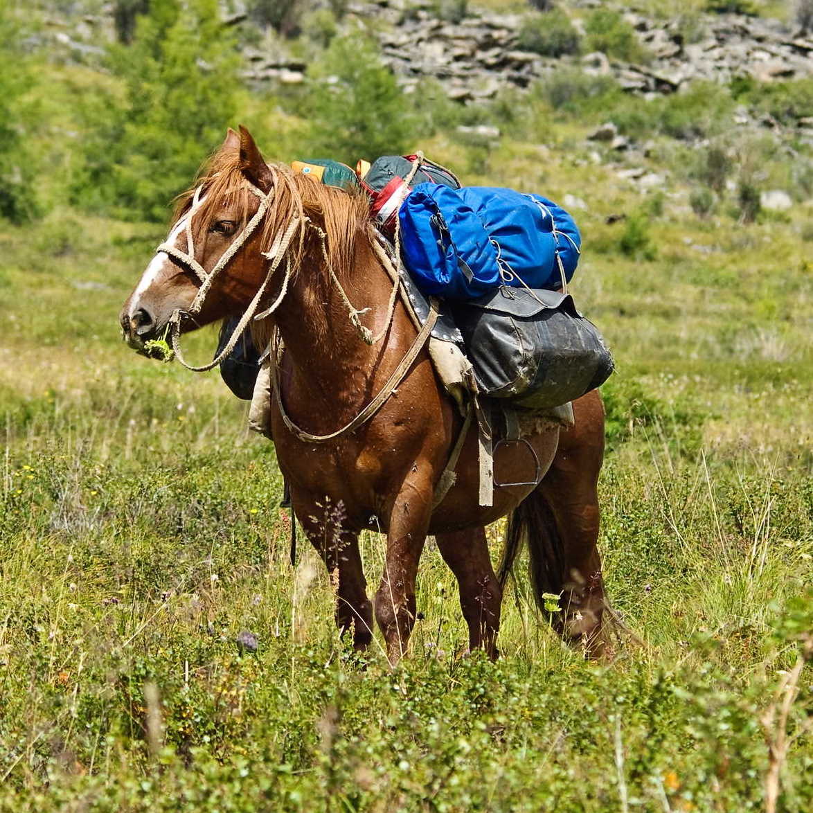 Start der Frankreichreise Start der Frankreichreise