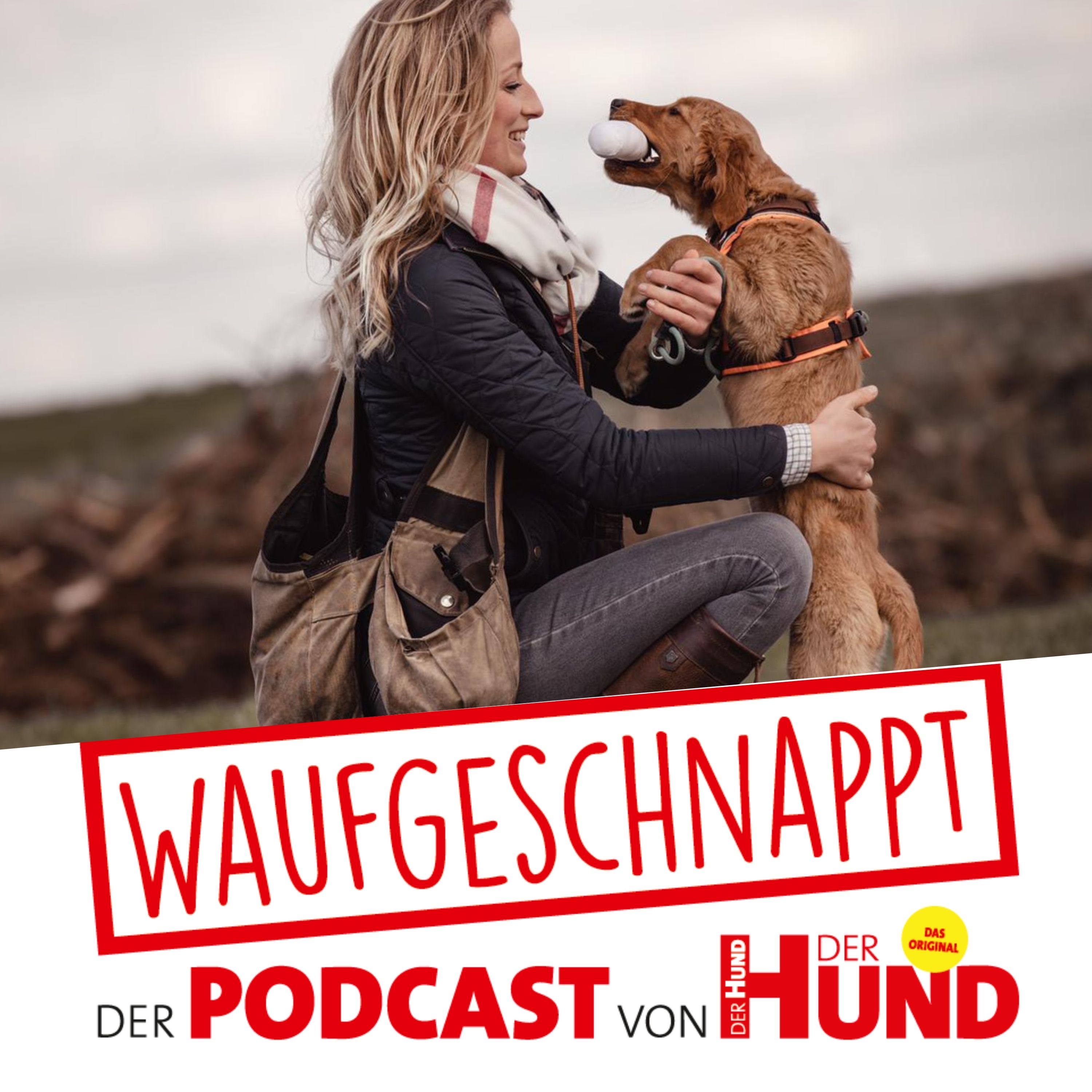 Waufgeschnappt - der Podcast von DER HUND