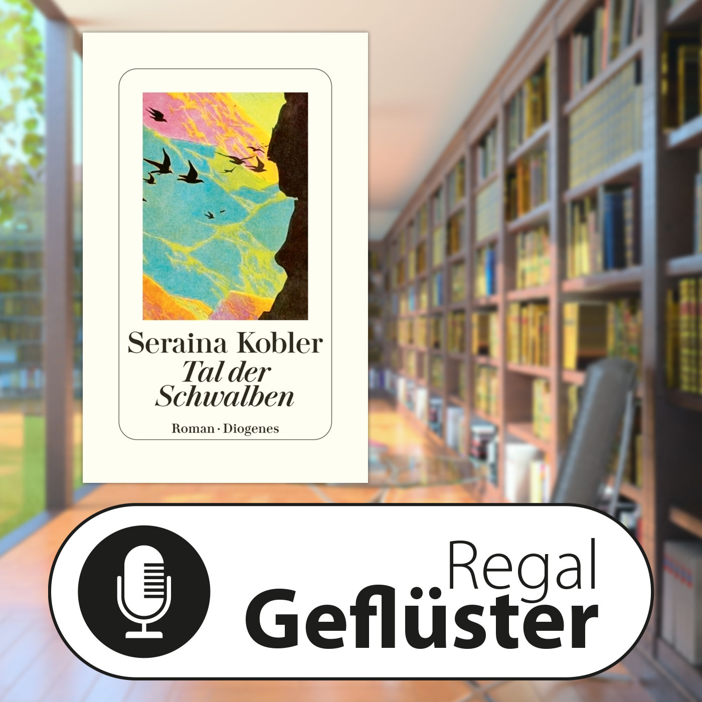 Seraina Kobler: Tal der Schwalben episode artwork