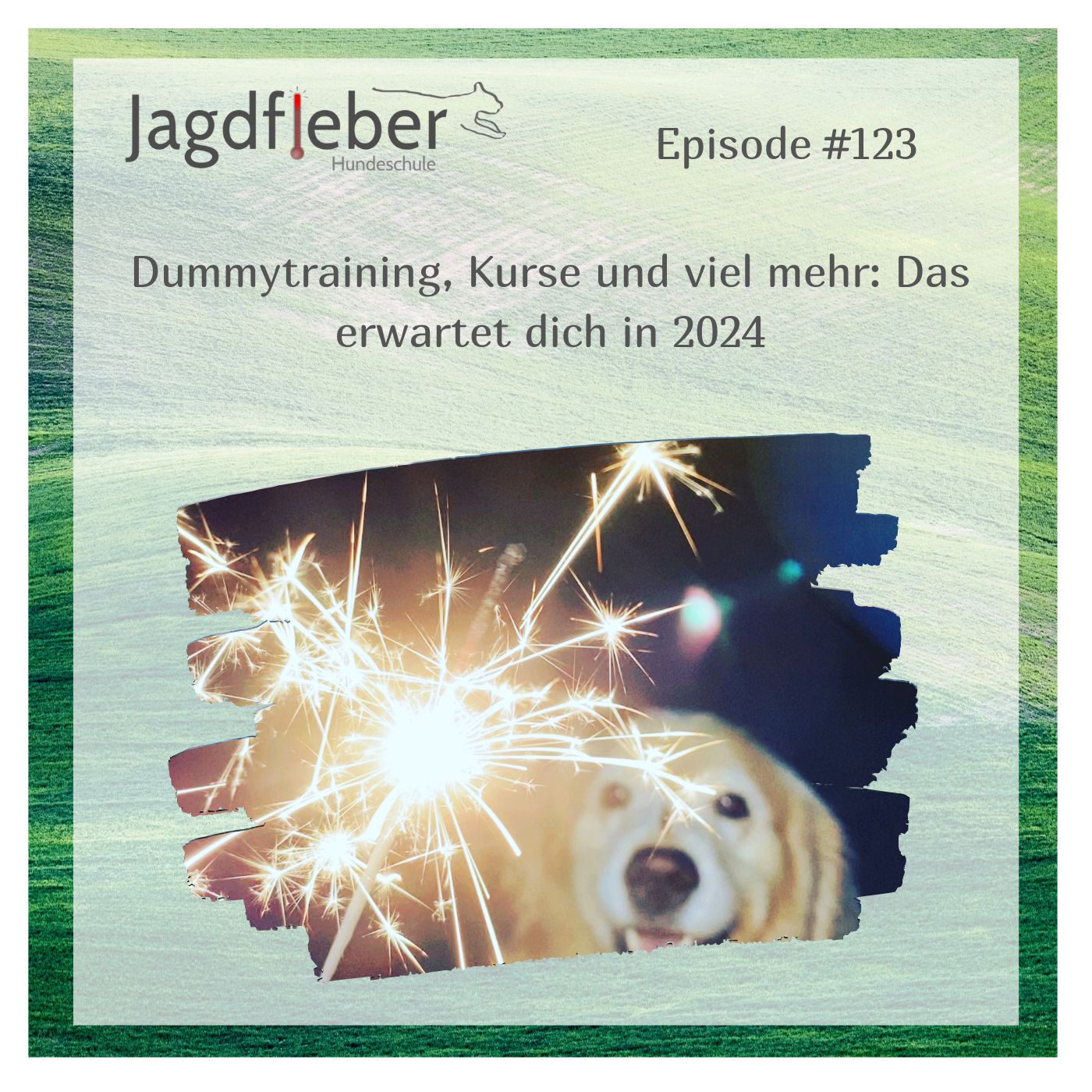 P122: Dummytraining, Kurse und viel mehr: Das erwartet dich in 2024